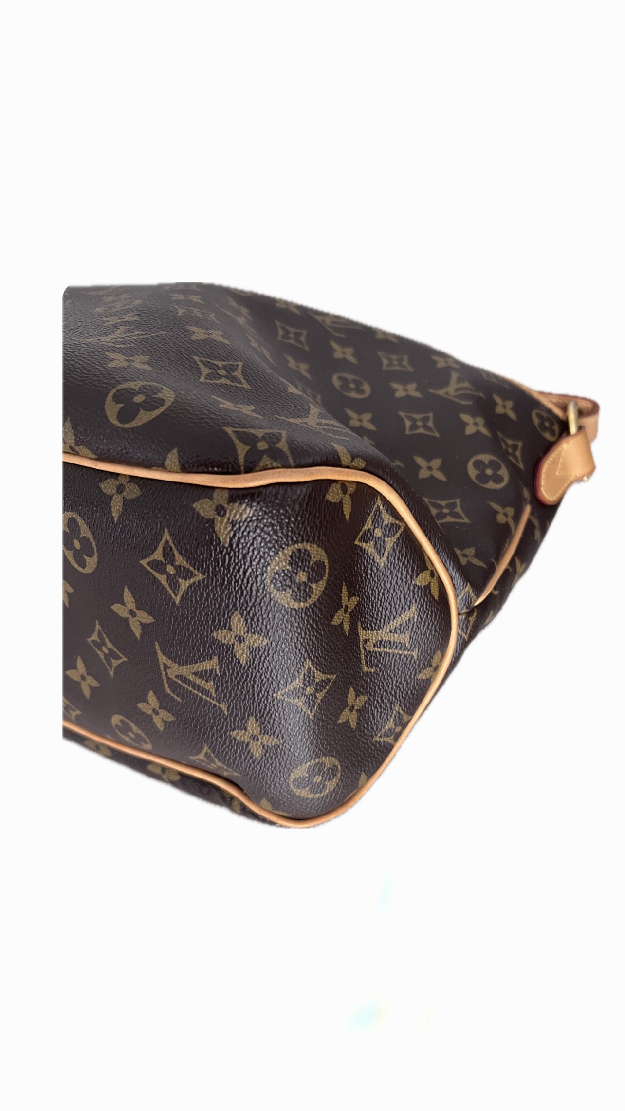 Louis Vuitton Delightful PM