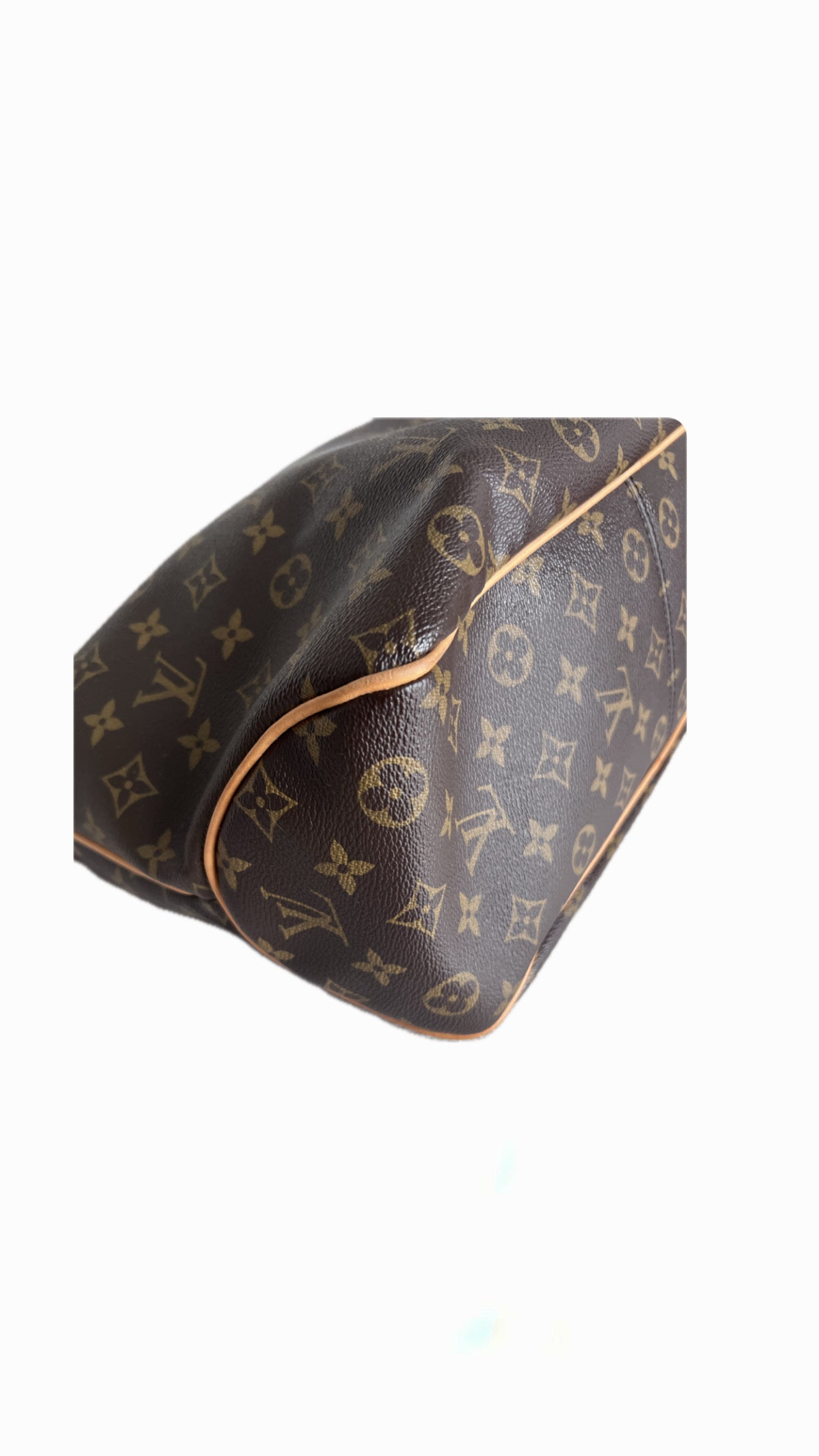 Louis Vuitton Delightful PM