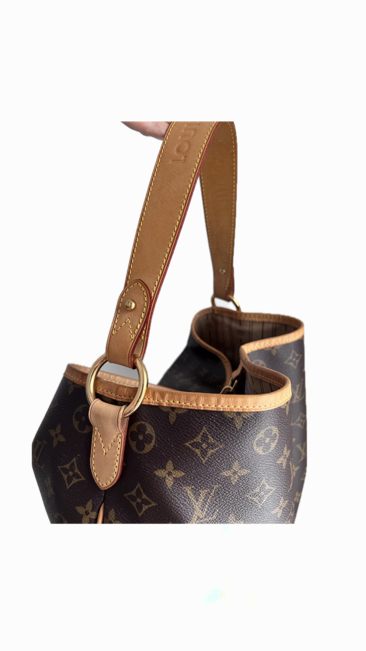 Louis Vuitton Delightful PM