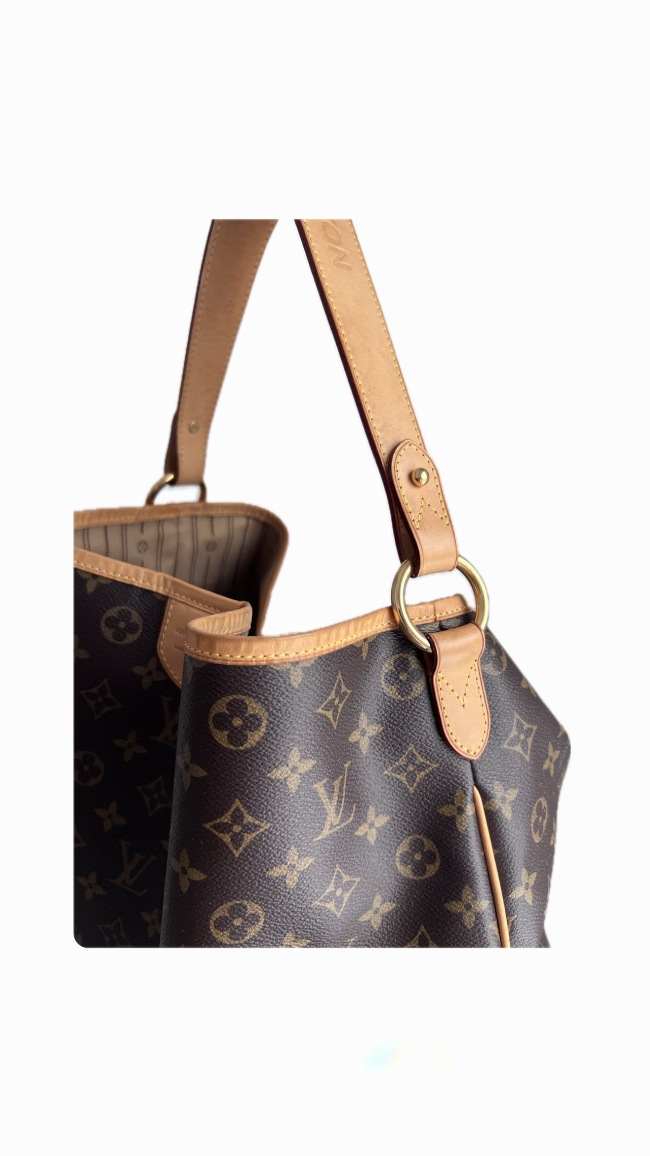Louis Vuitton Delightful PM
