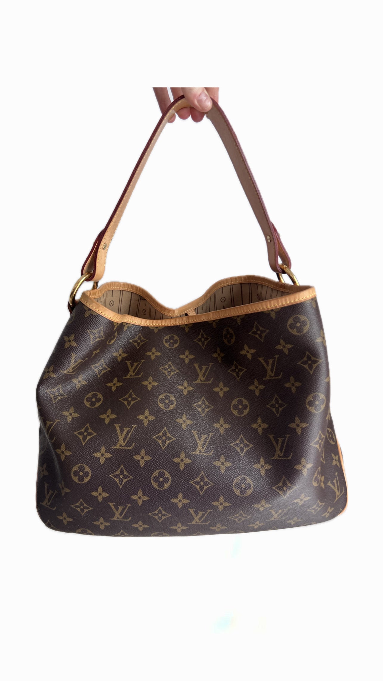 Louis Vuitton Delightful PM