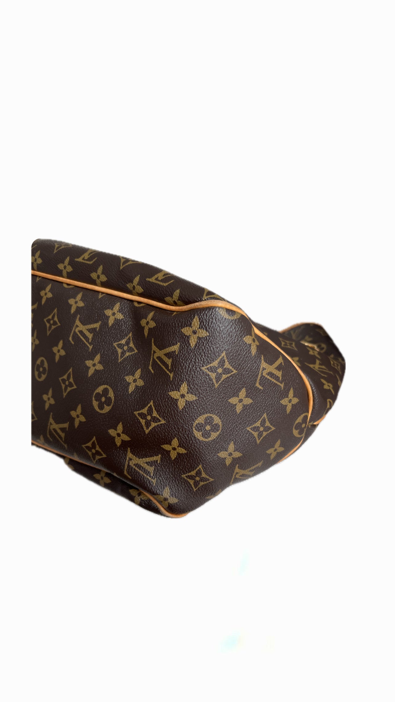 Louis Vuitton Delightful GM