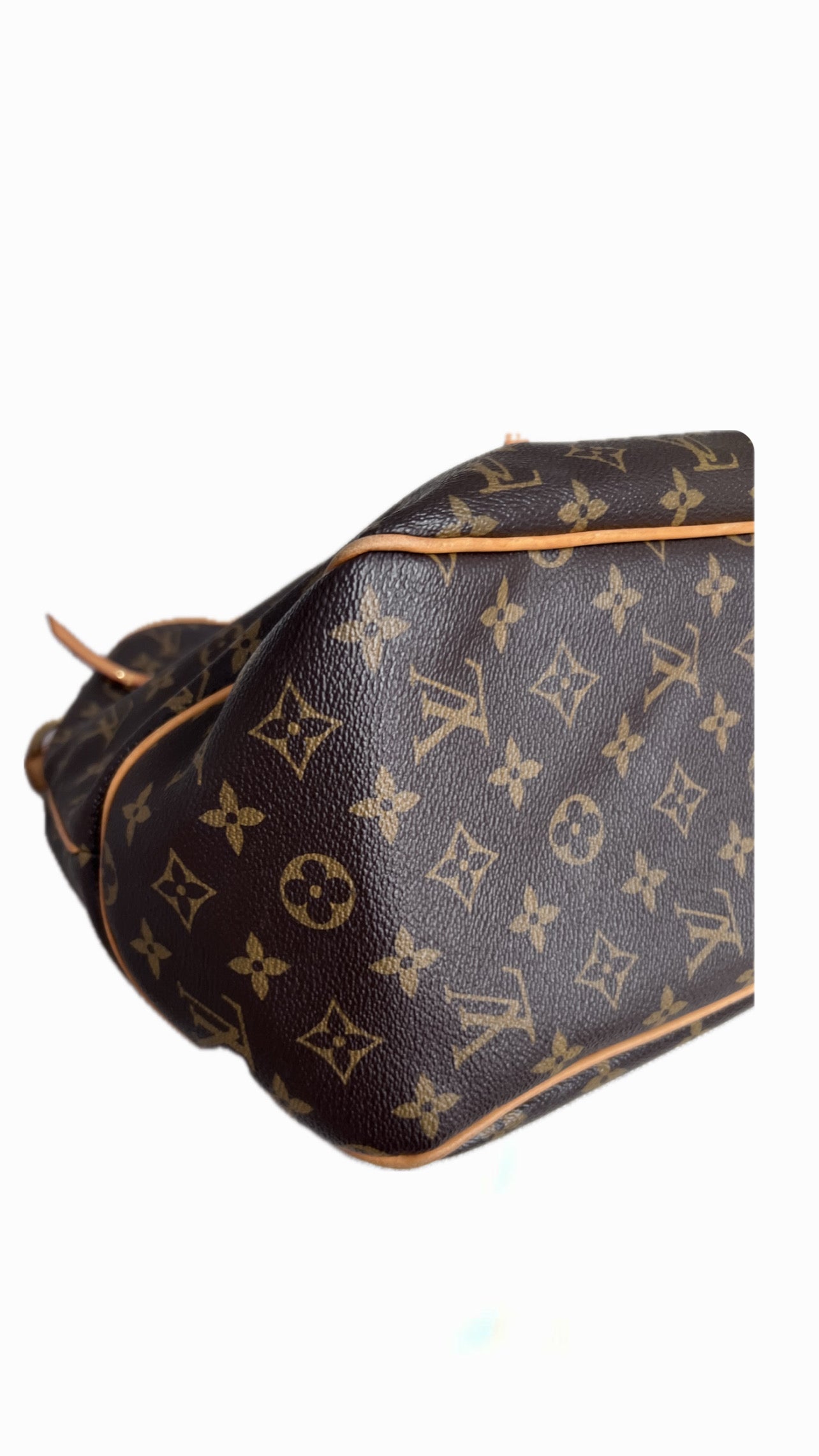Louis Vuitton Delightful GM