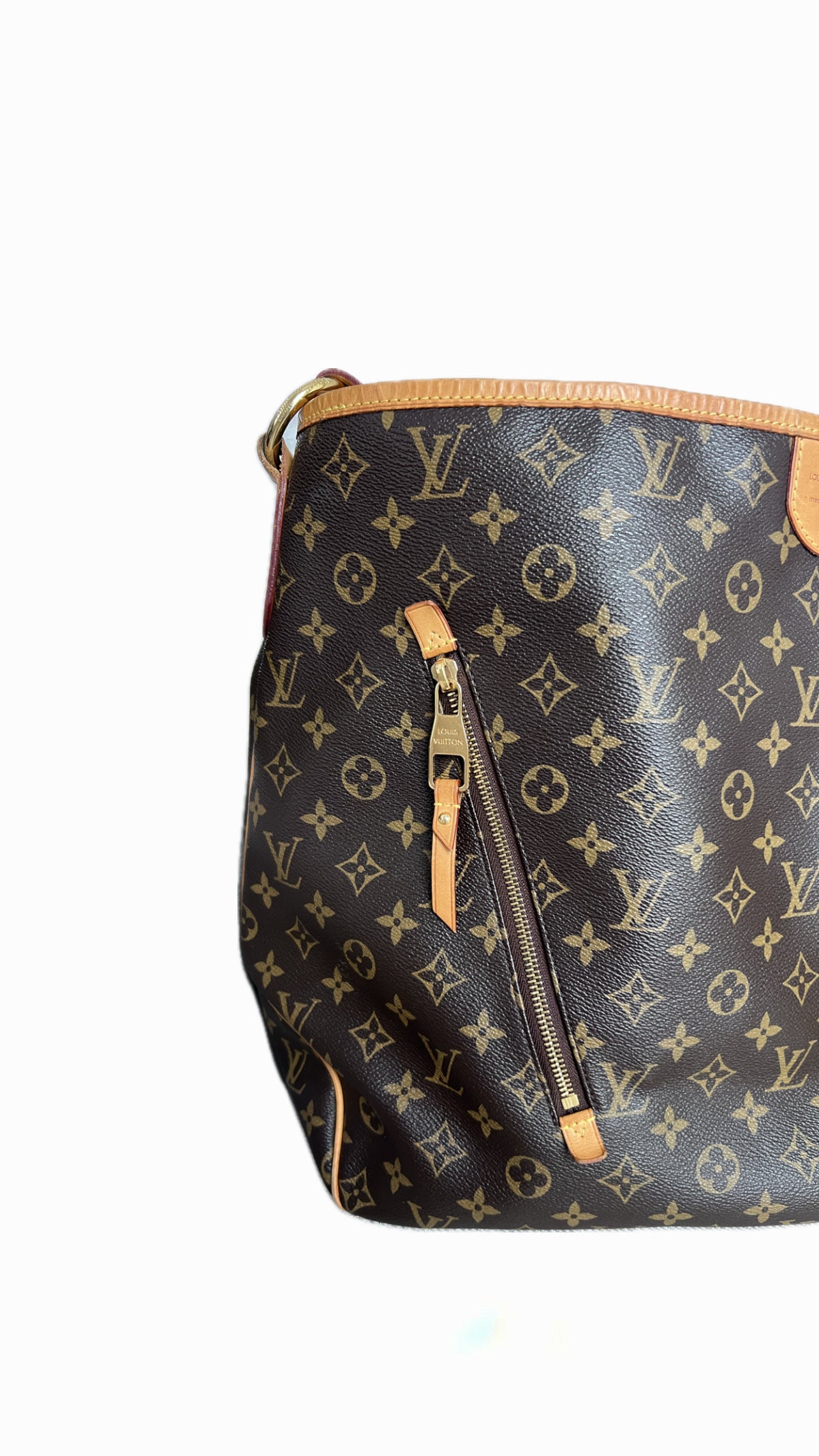Louis Vuitton Delightful GM