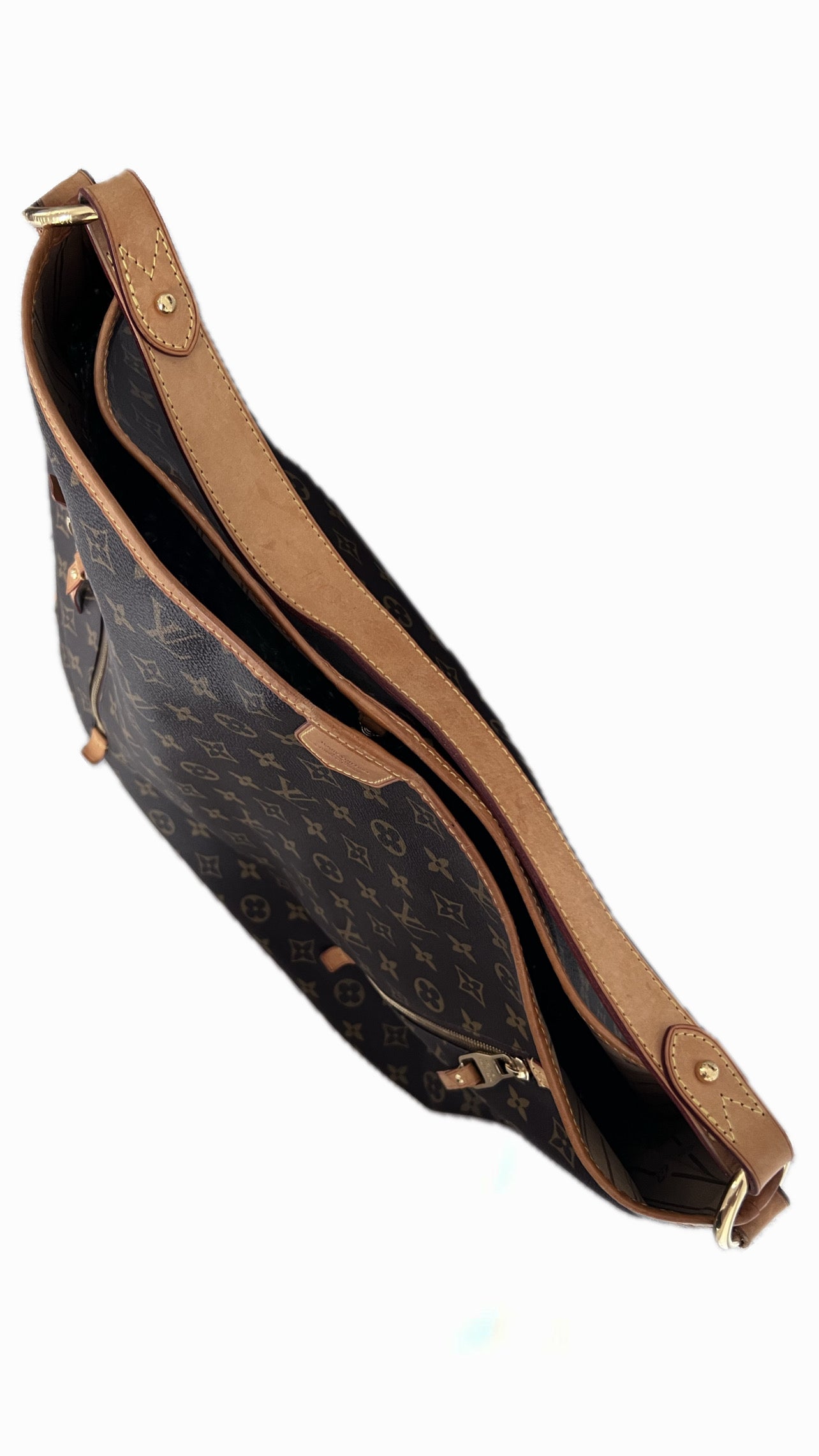 Louis Vuitton Delightful GM