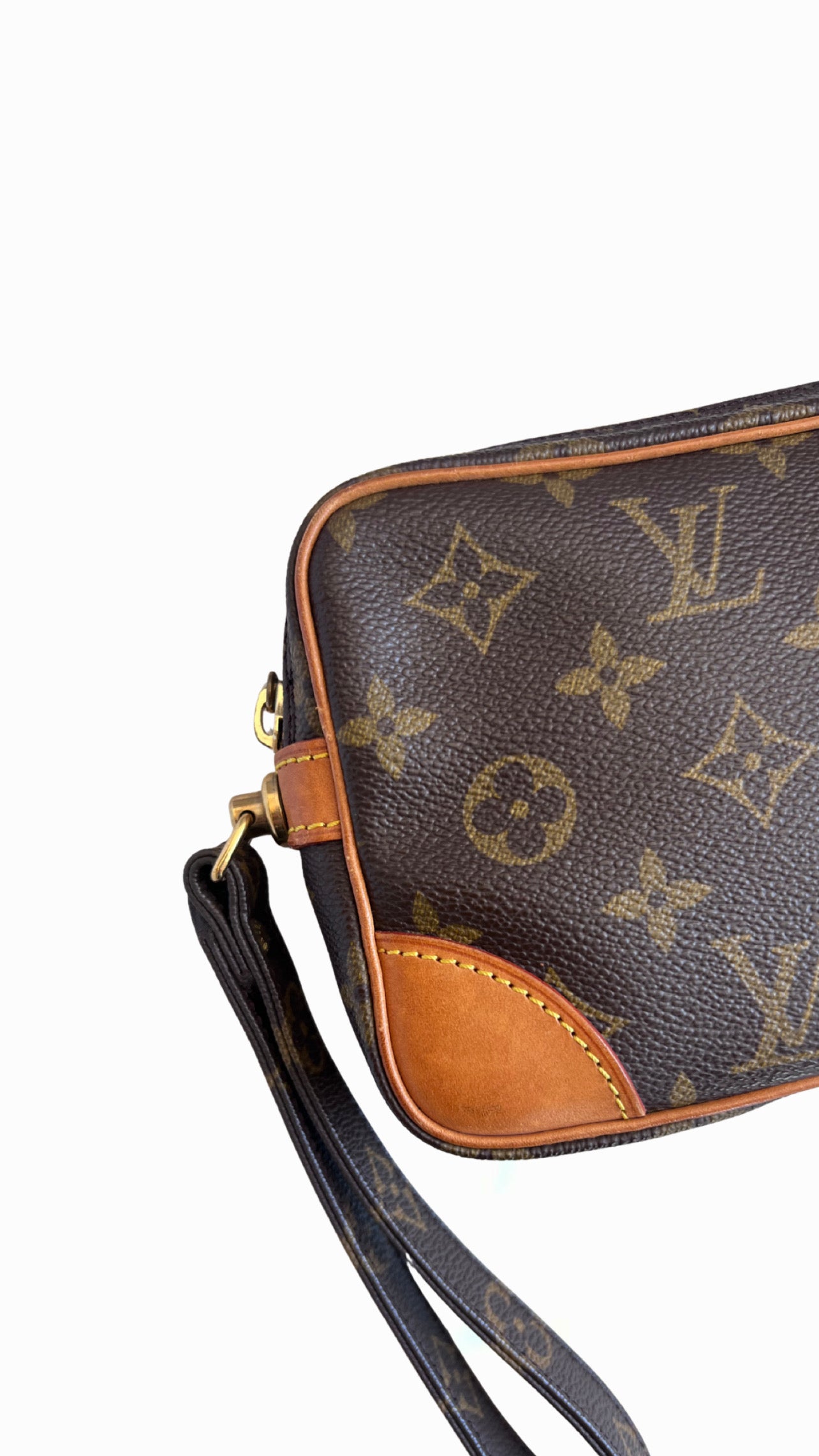 Louis Vuitton Marly Dragonne PM
