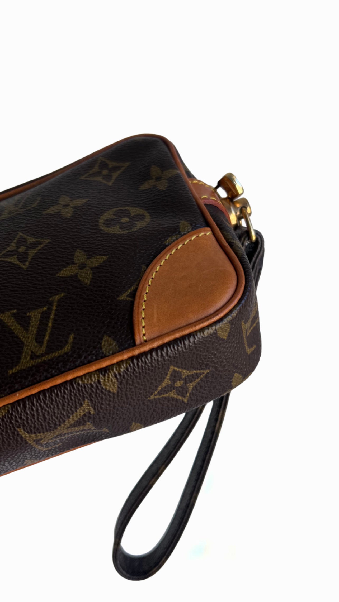 Louis Vuitton Marly Dragonne PM