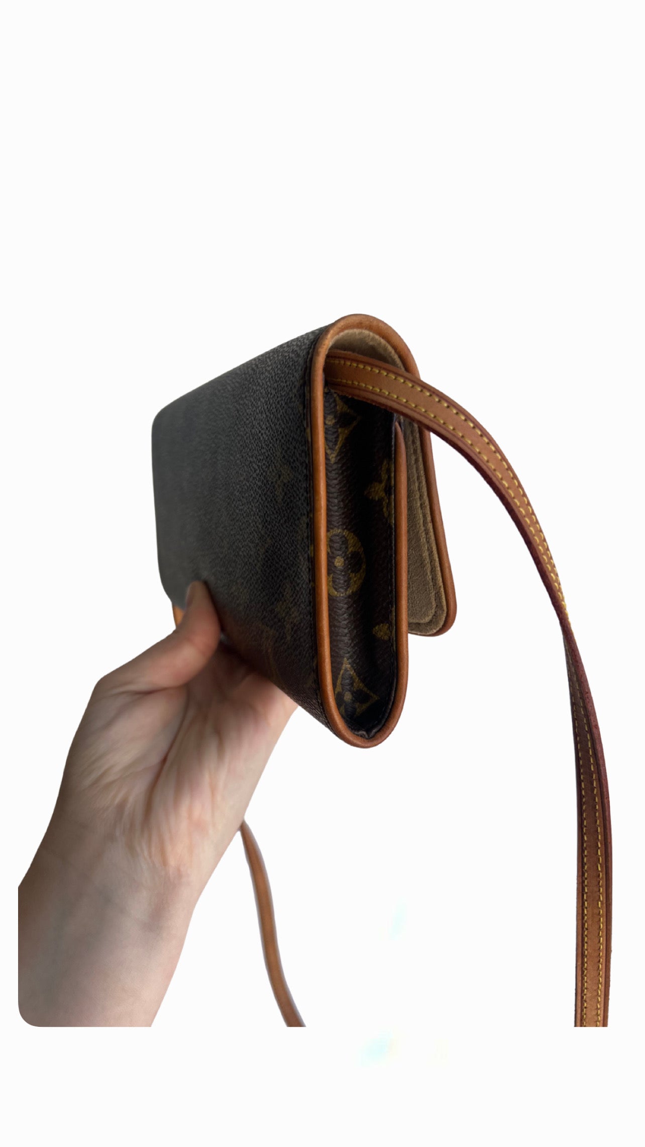 Louis Vuitton Pochette Twin GM