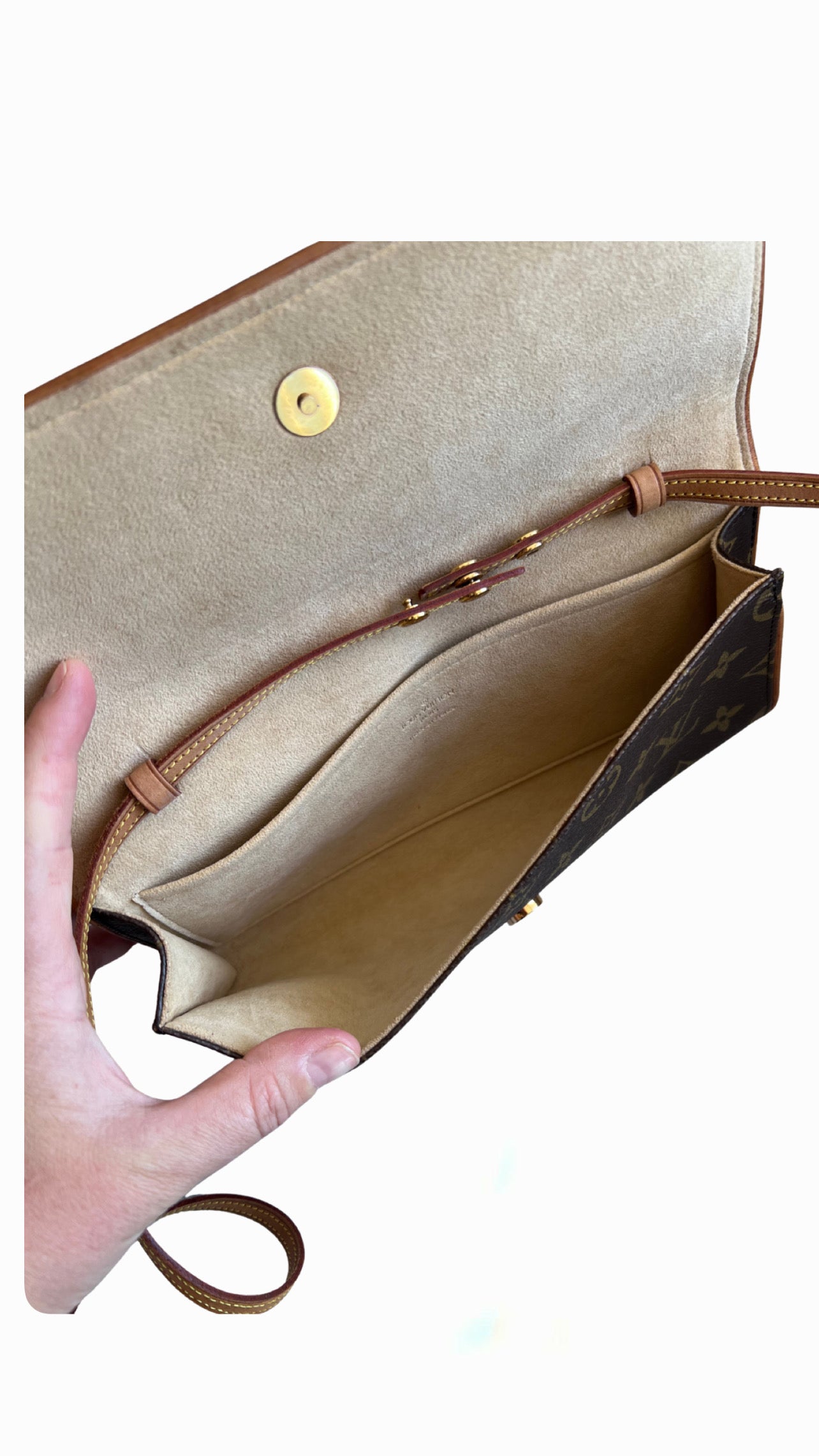 Louis Vuitton Pochette Twin GM
