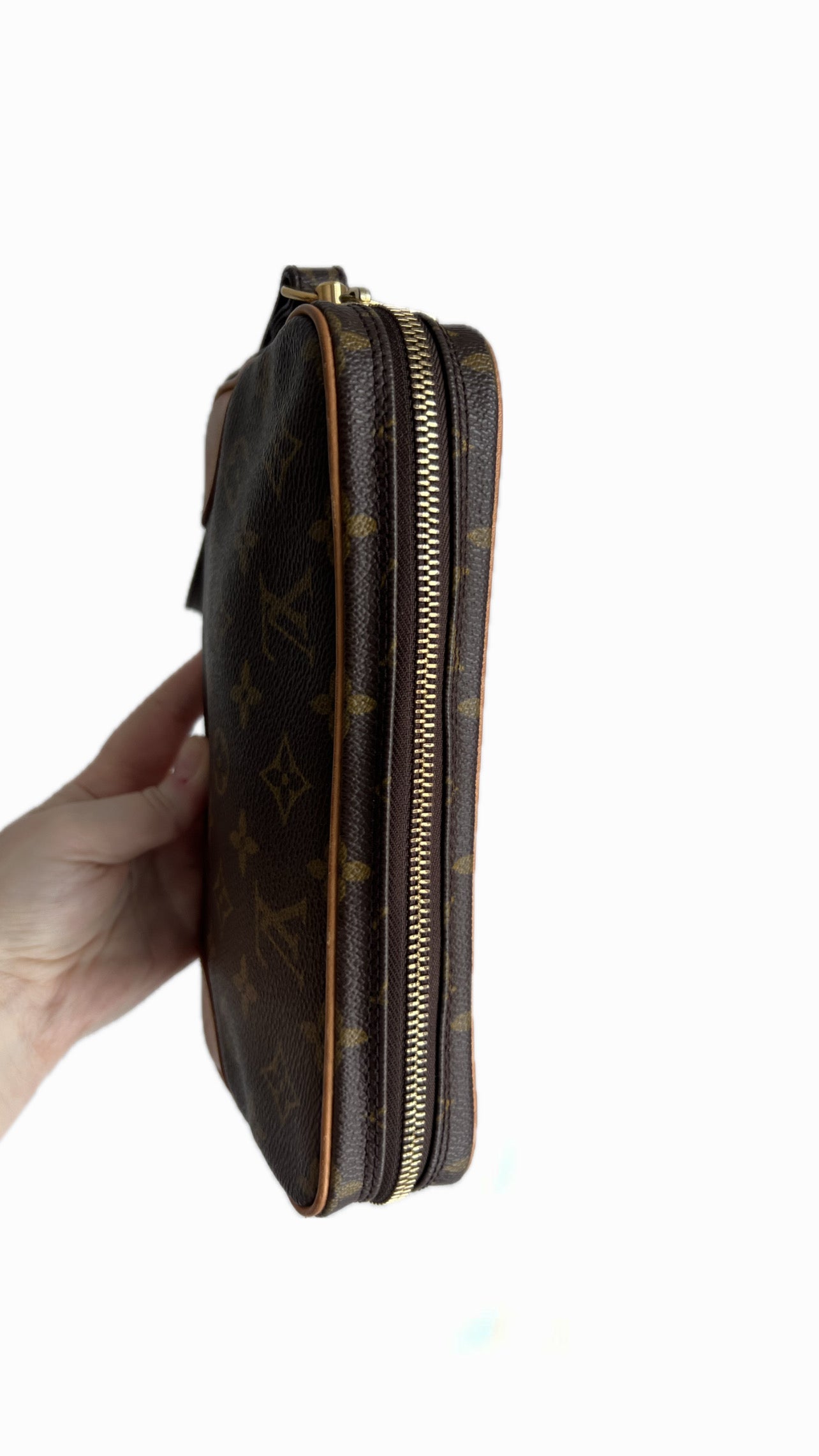 Louis Vuitton Marly Dragonne PM