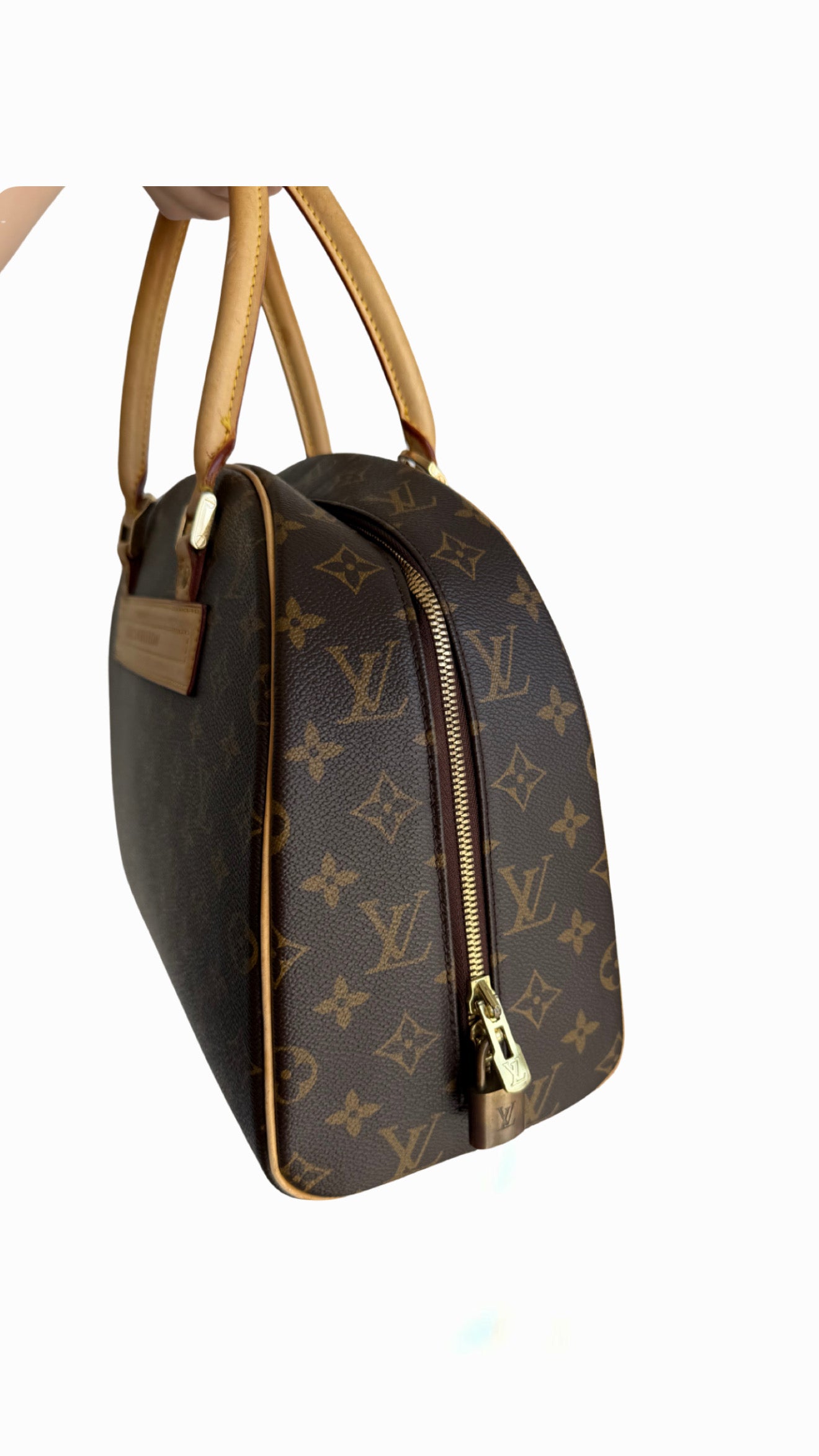Louis Vuitton Monogram Nolita Bag