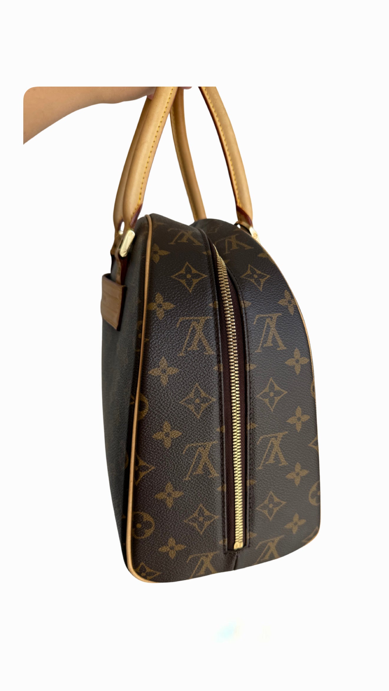 Louis Vuitton Monogram Nolita Bag