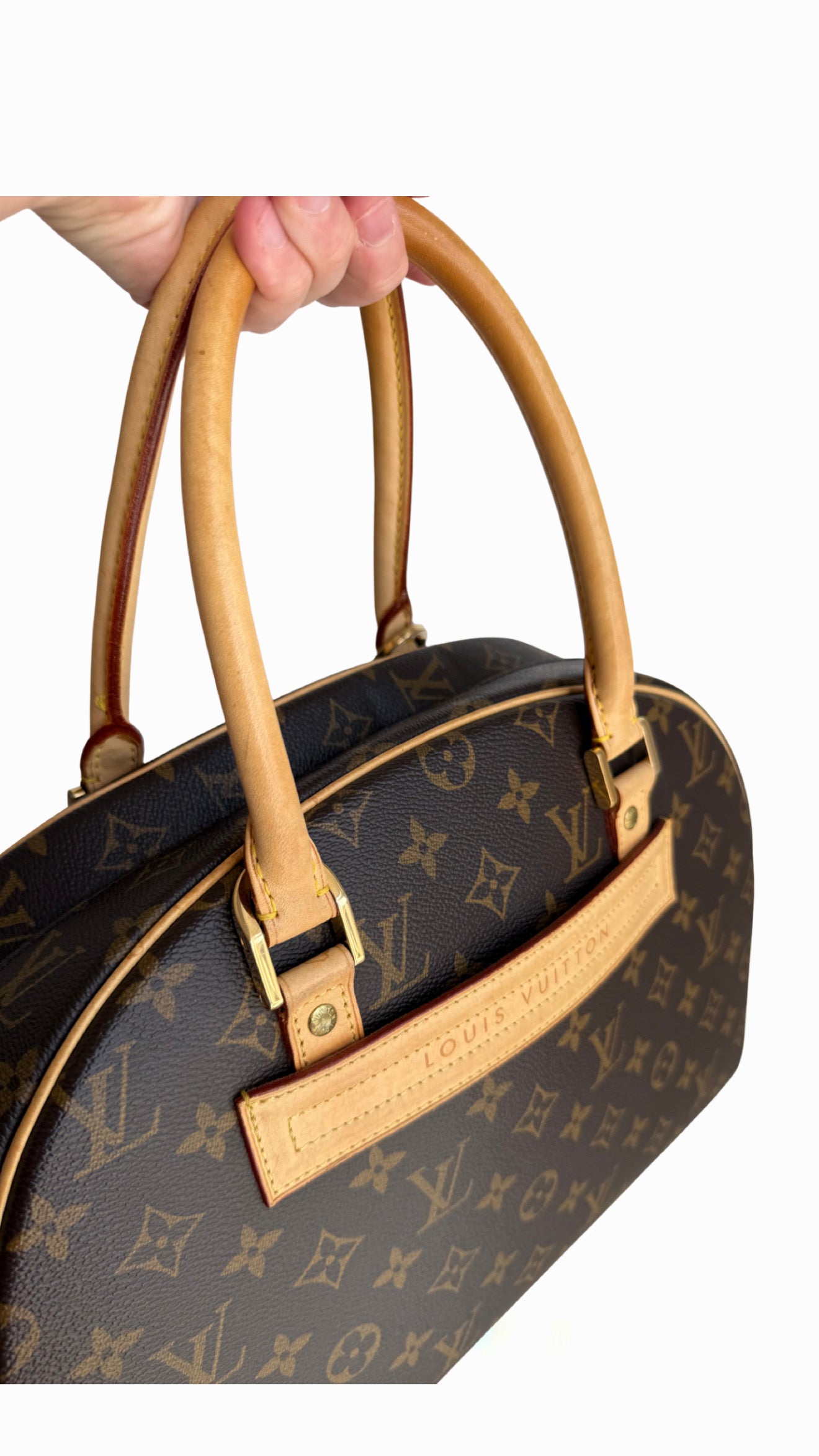 Louis Vuitton Monogram Nolita Bag
