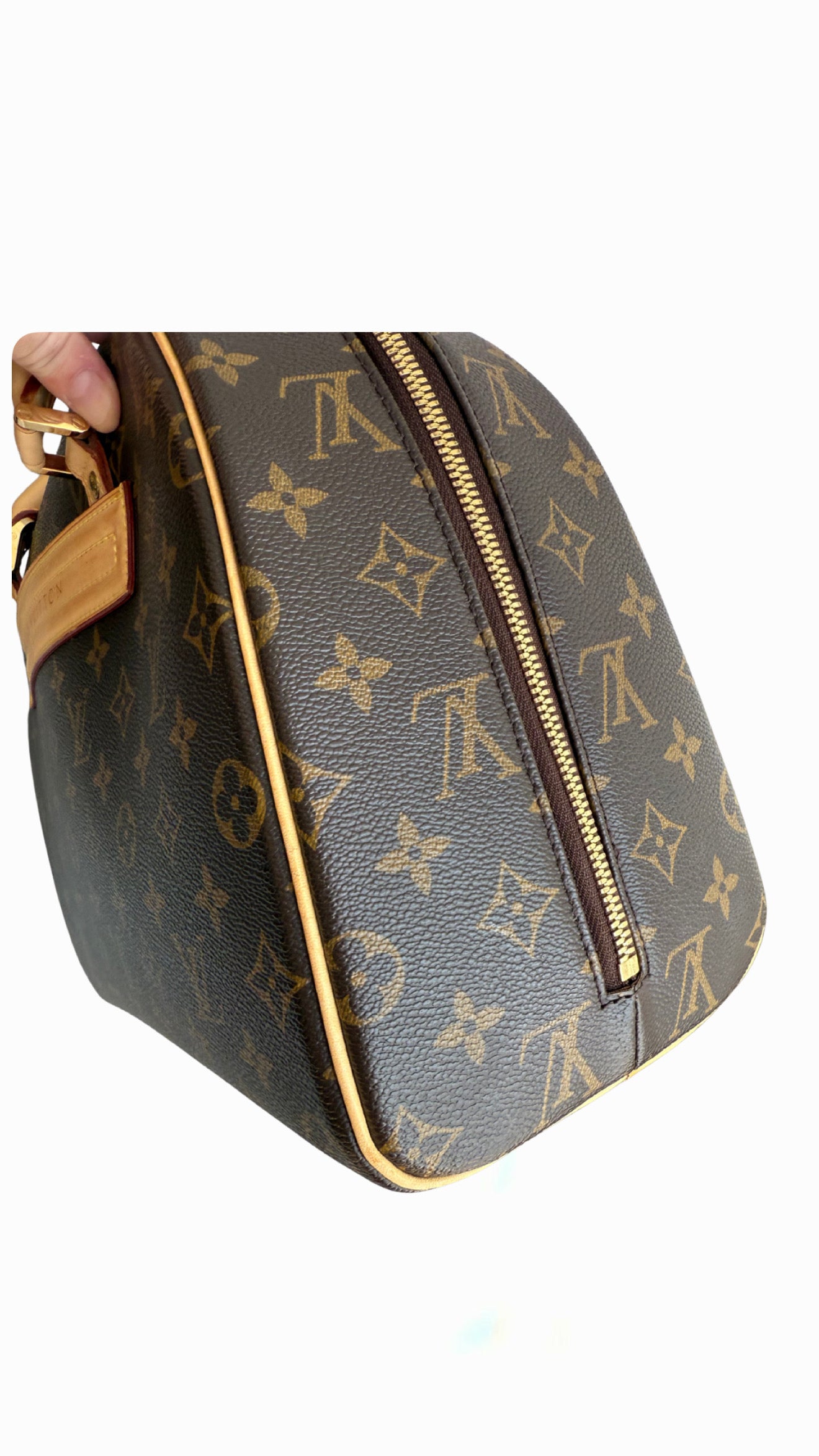 Louis Vuitton Monogram Nolita Bag