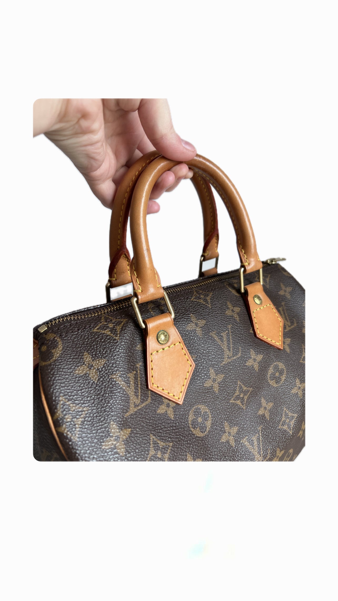 Louis Vuitton Speedy 25