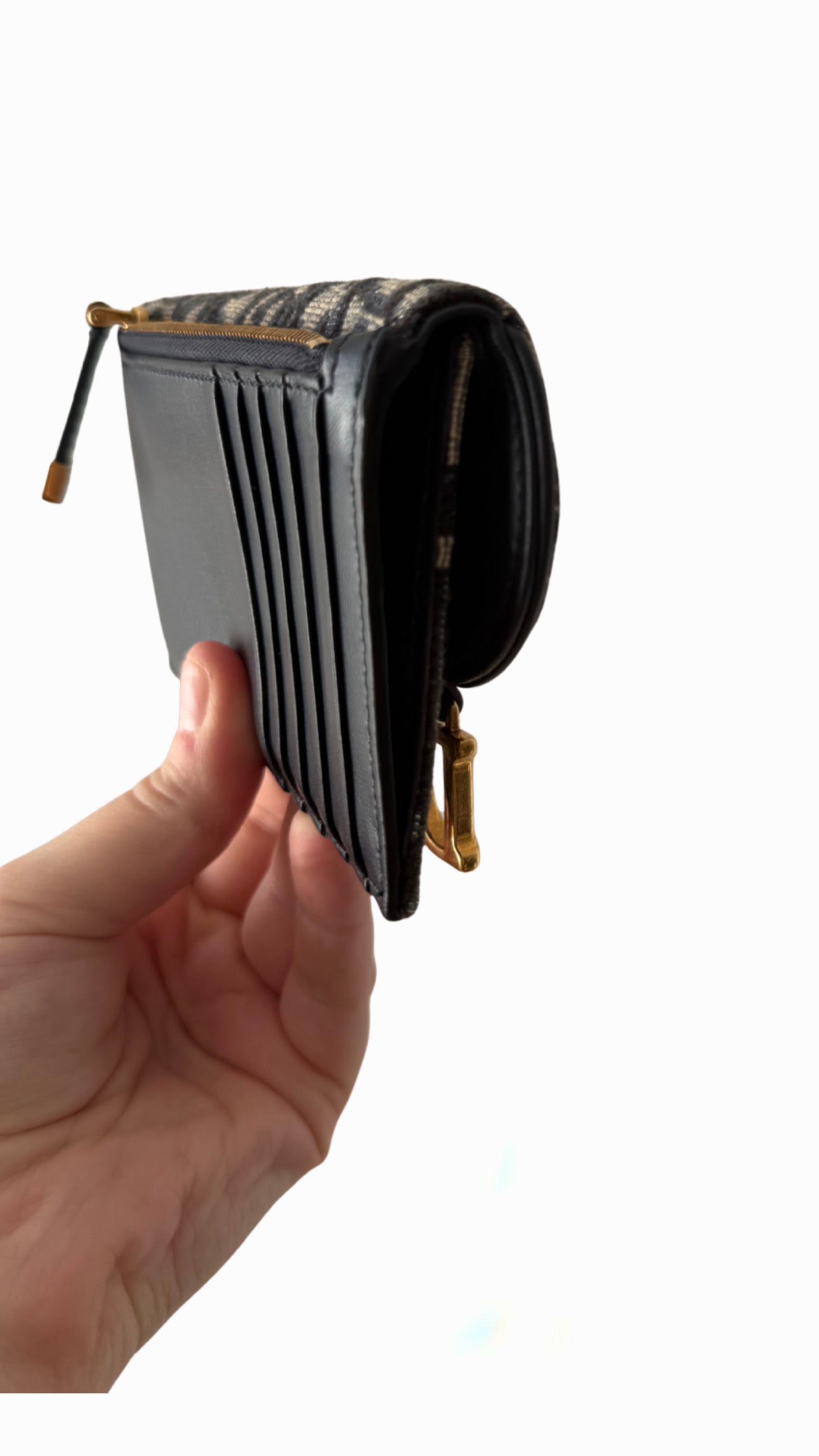 Christian Dior Saddle Cosmos Zipped Card Holder