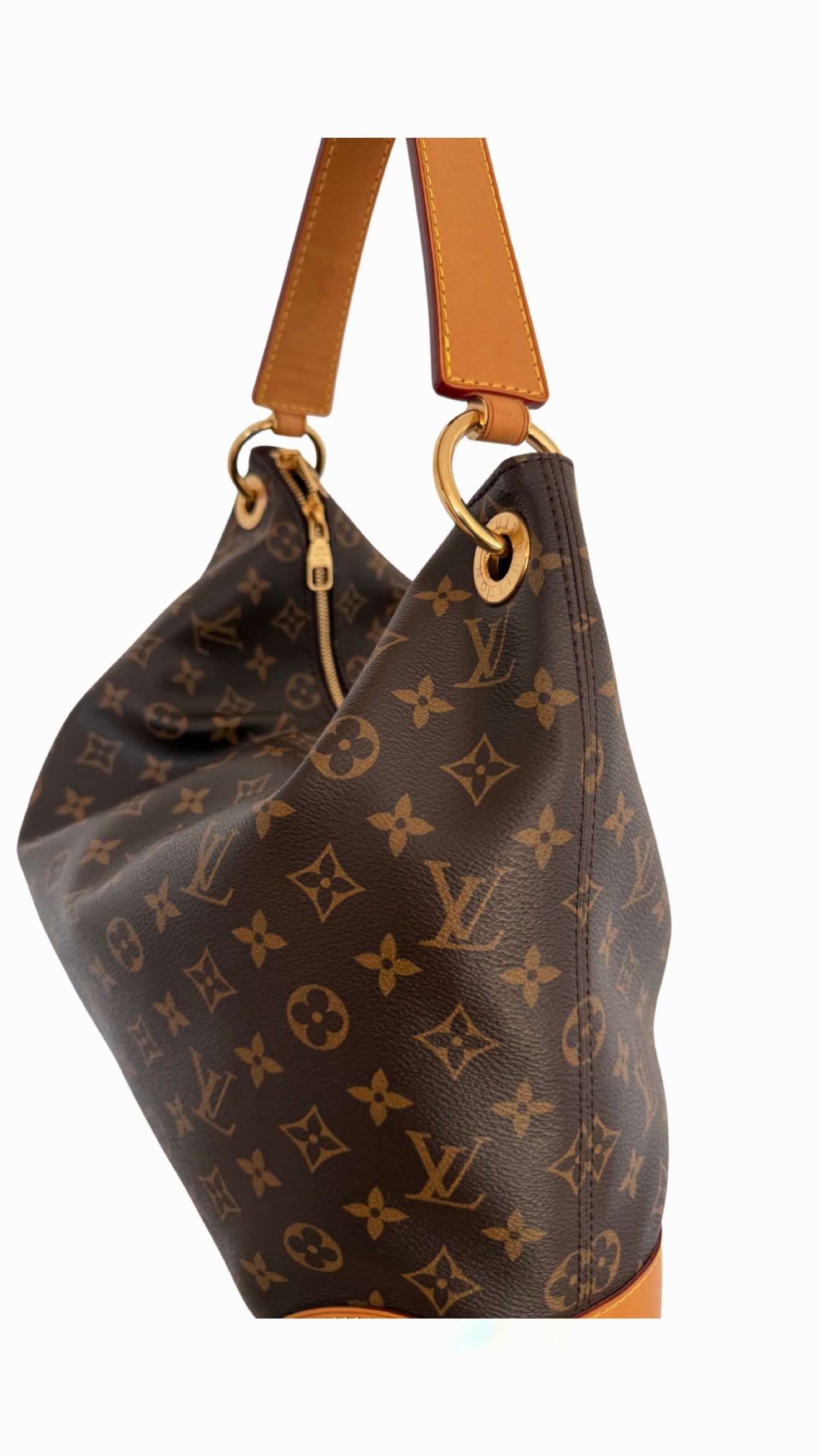 Louis Vuitton Monogram Hobo Berri MM