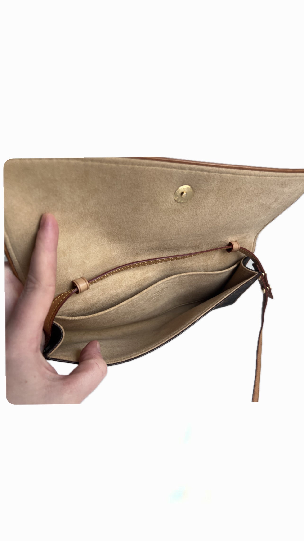 Louis Vuitton Pochette Twin GM