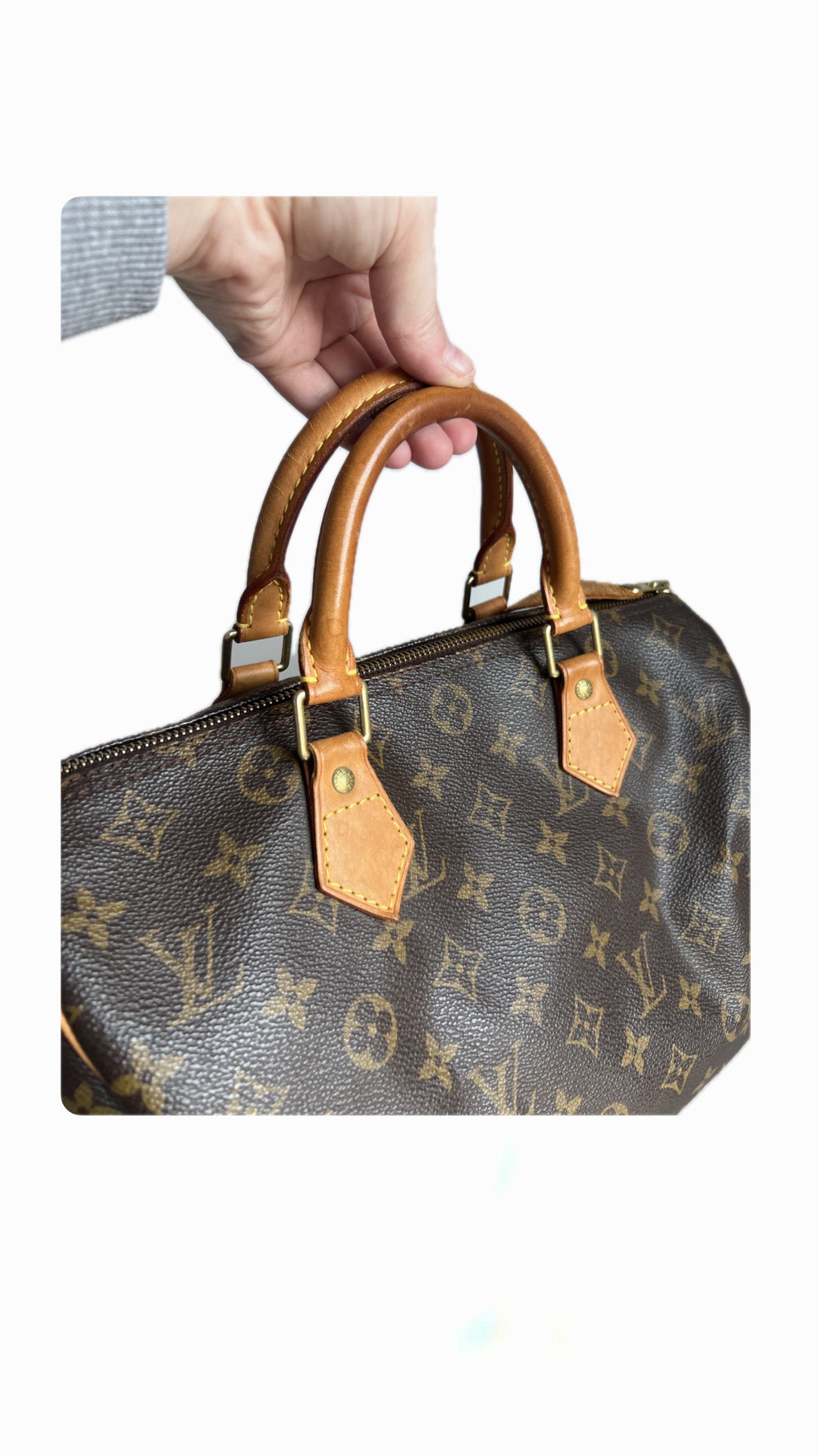 Louis Vuitton Speedy 30