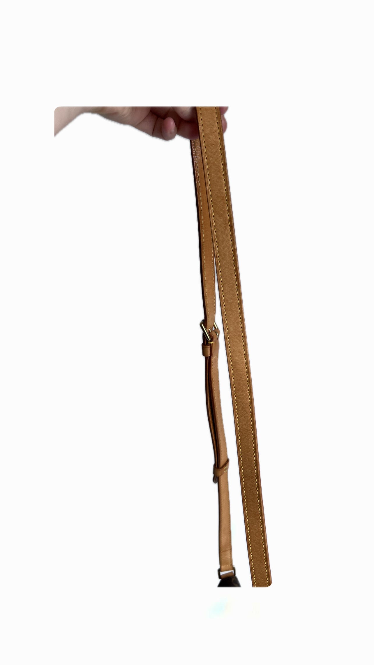 Louis Vuitton Musette Long Strap