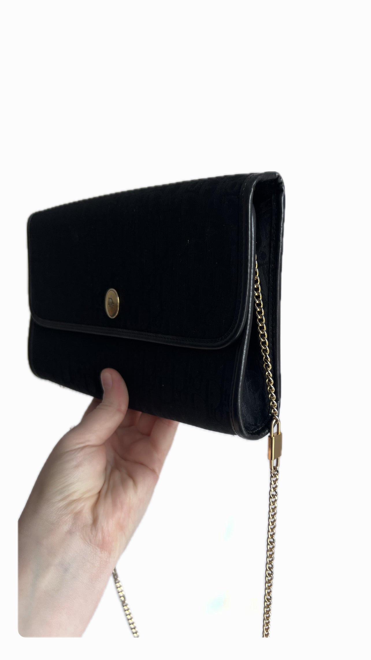 Christian Dior Canvas Trotter