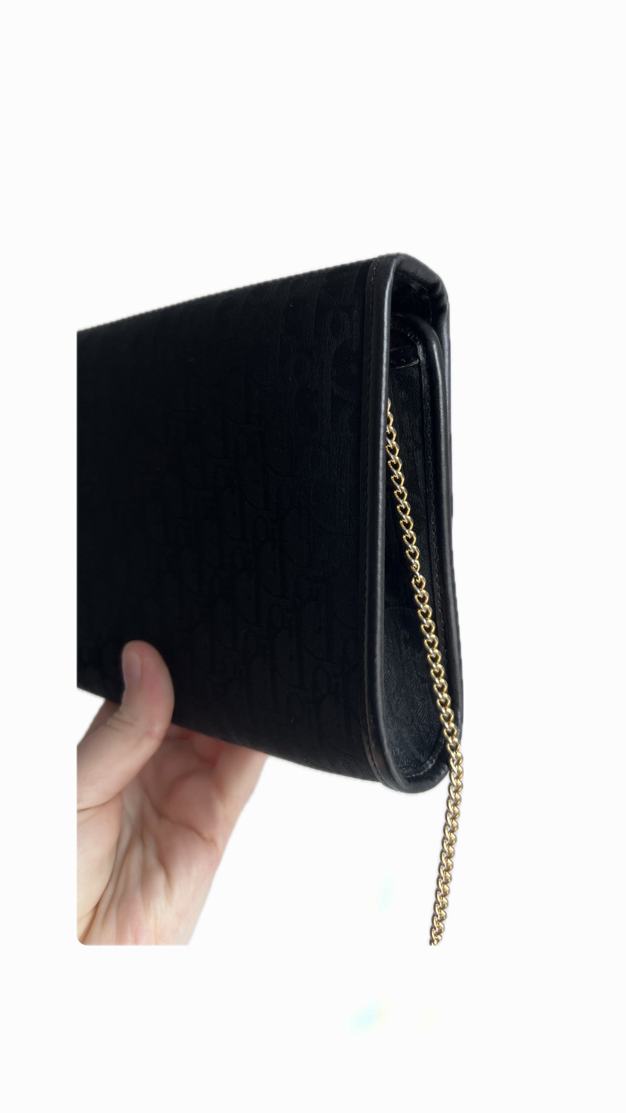 Christian Dior Canvas Trotter