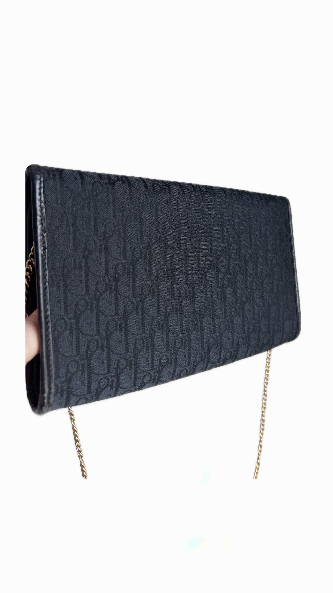 Christian Dior Canvas Trotter