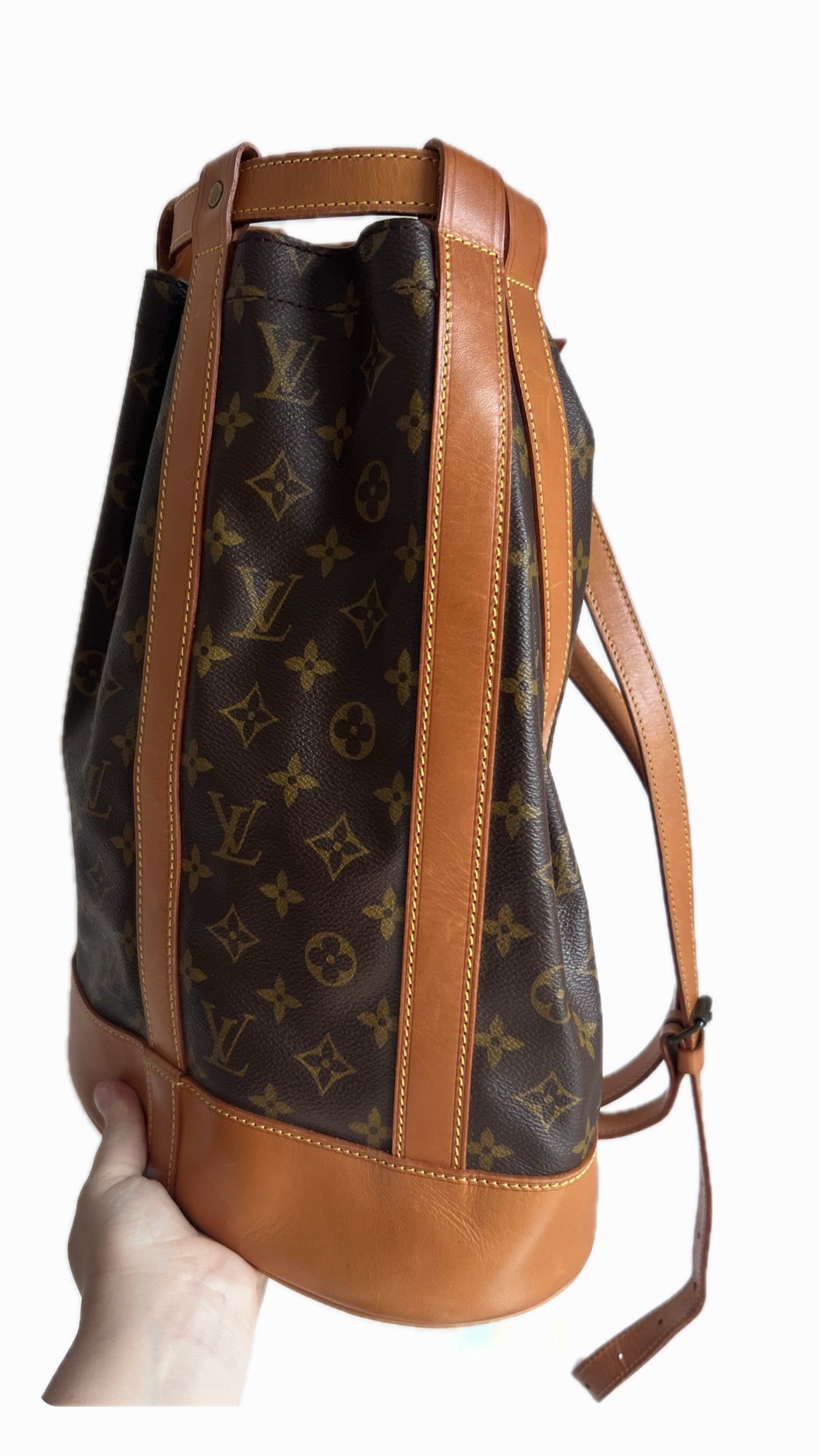 Louis Vuitton Monogram Randonne PM