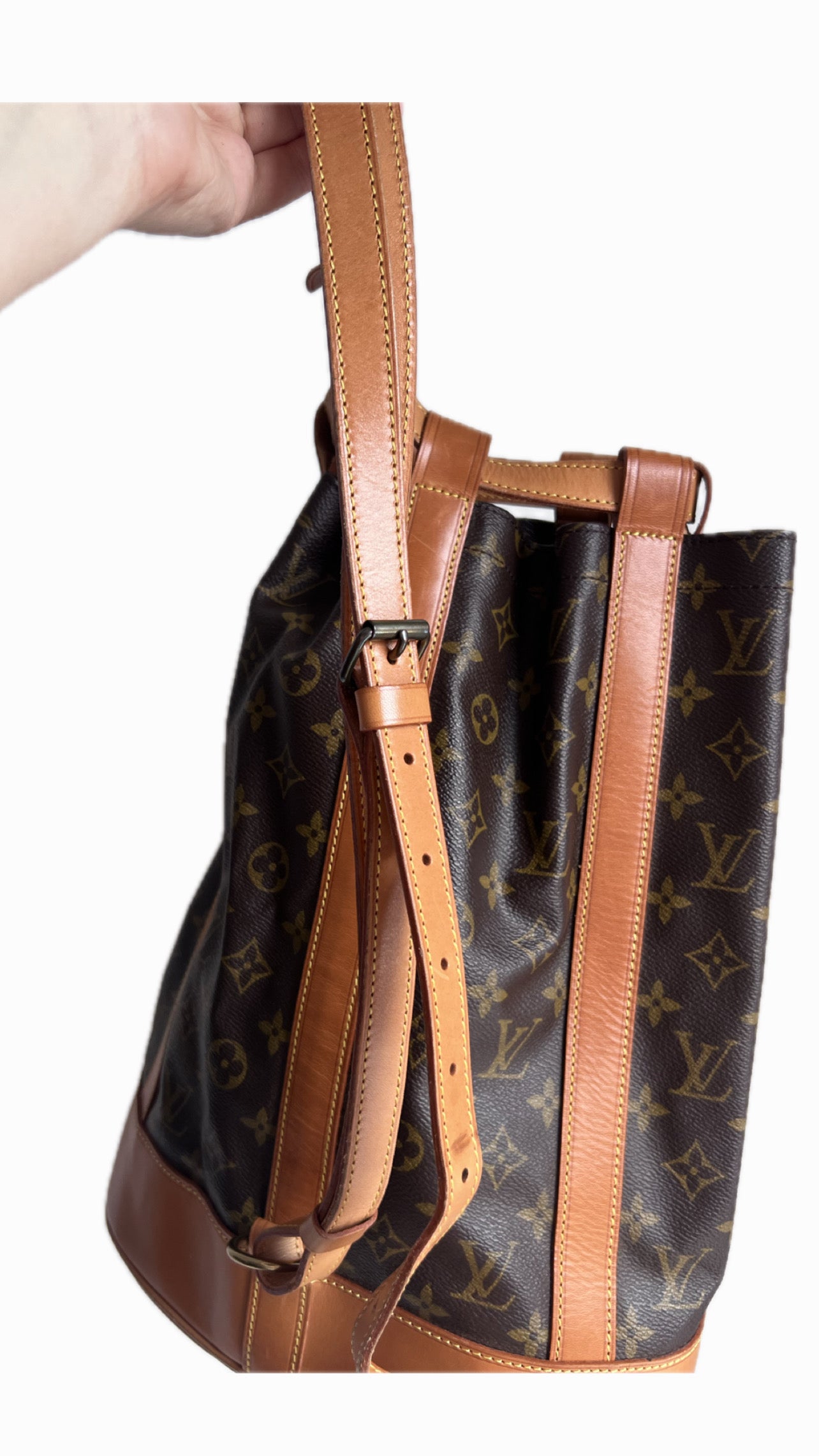 Louis Vuitton Monogram Randonne PM