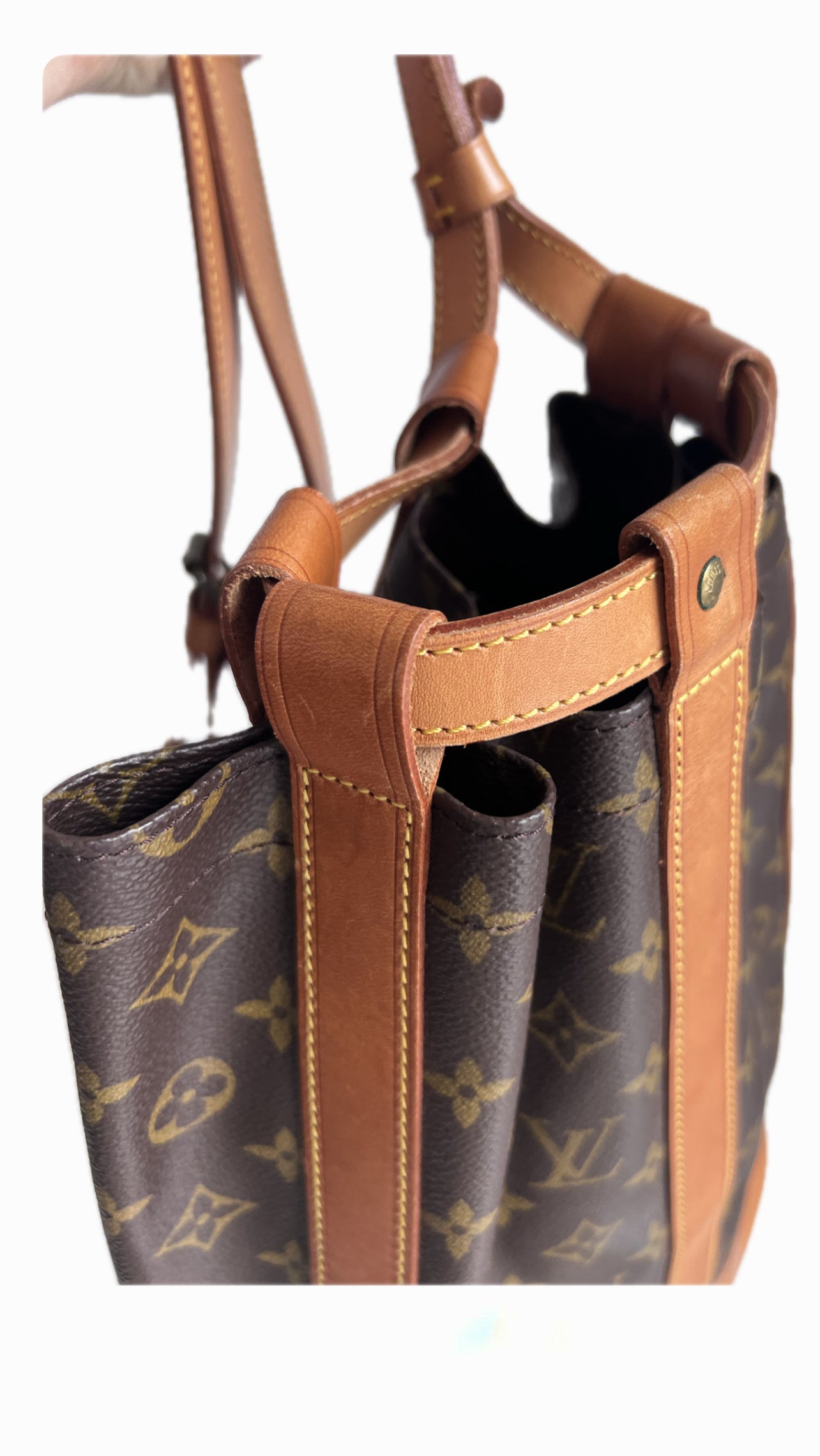 Louis Vuitton Monogram Randonne PM