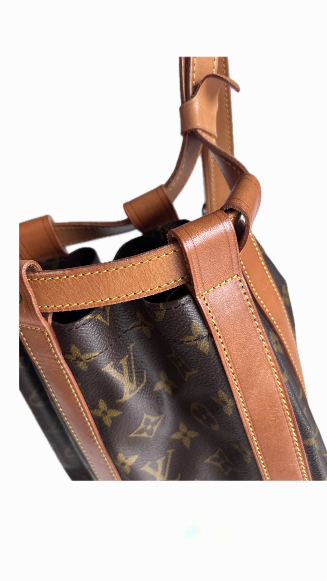 Louis Vuitton Monogram Randonne PM