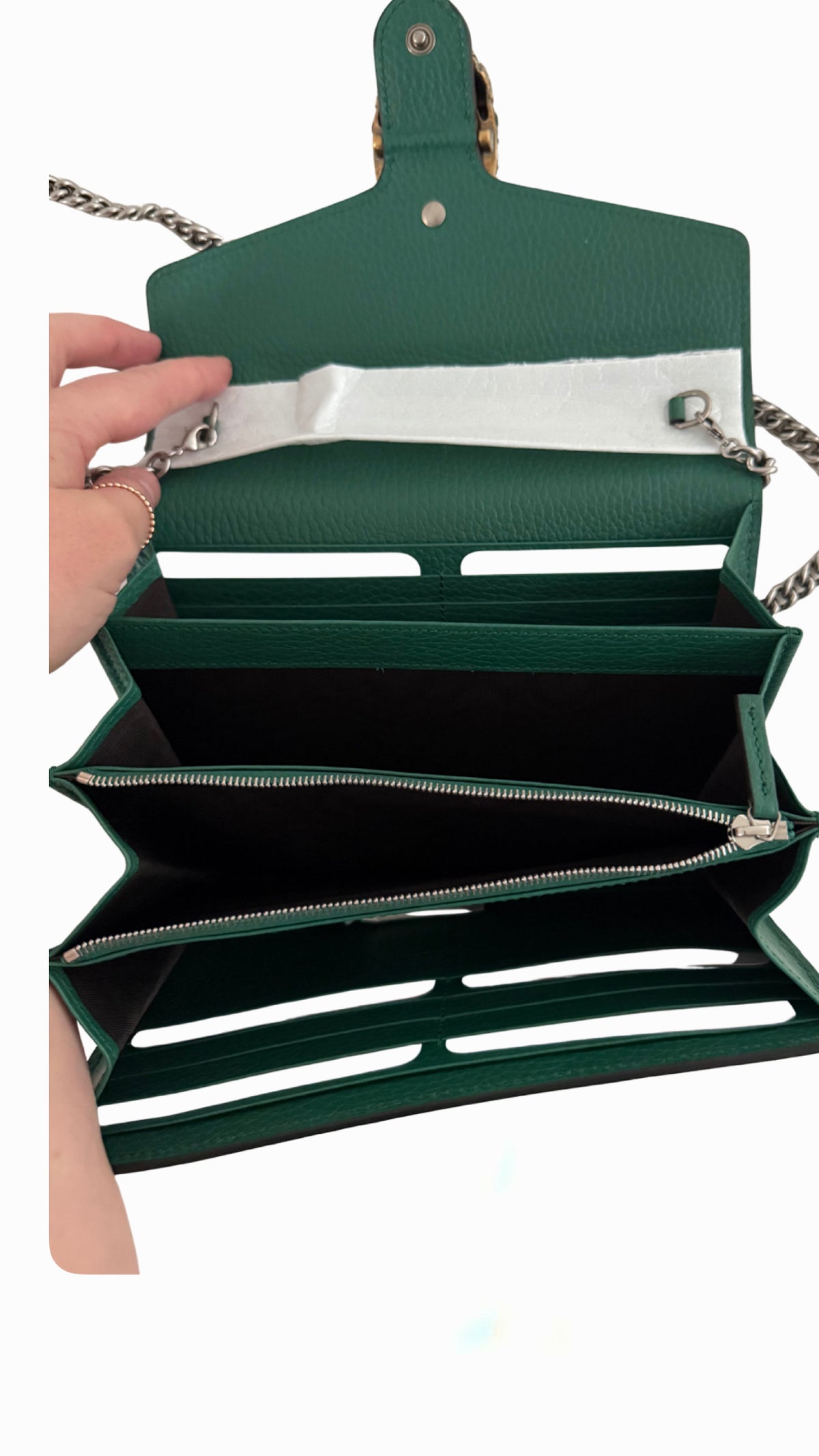 Gucci Dionysus Wallet on Chain