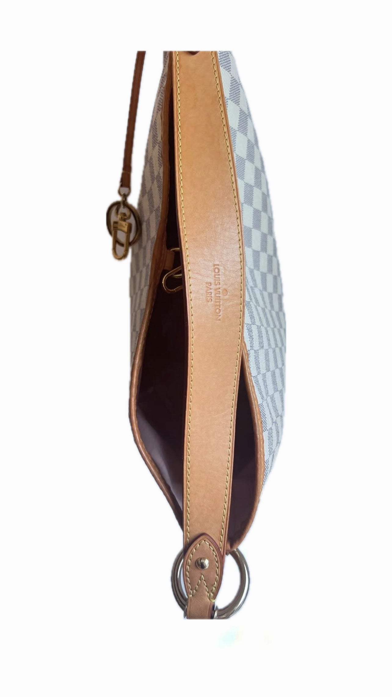Louis Vuitton Delightful Azur PM