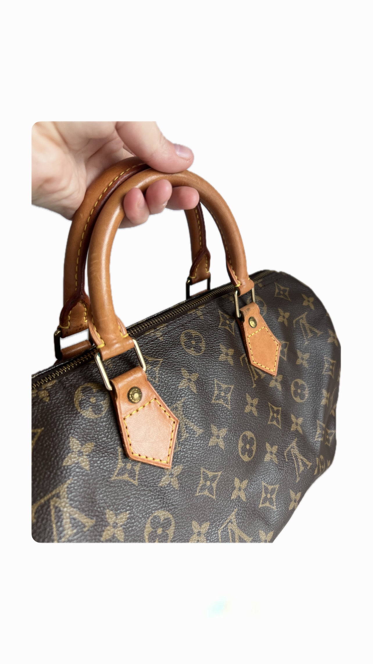 Louis Vuitton Speedy 30
