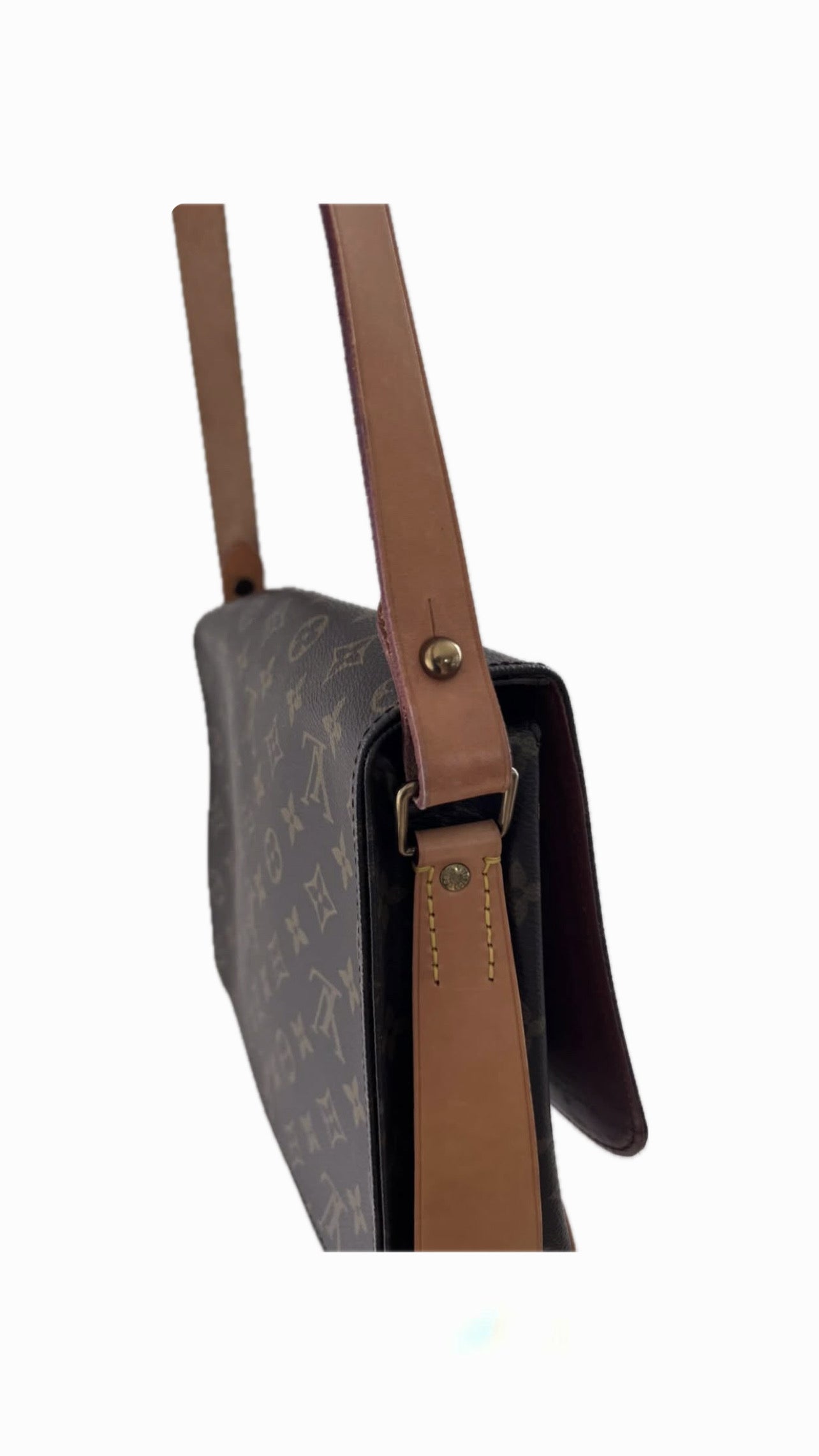 Louis Vuitton Cartouchiere GM