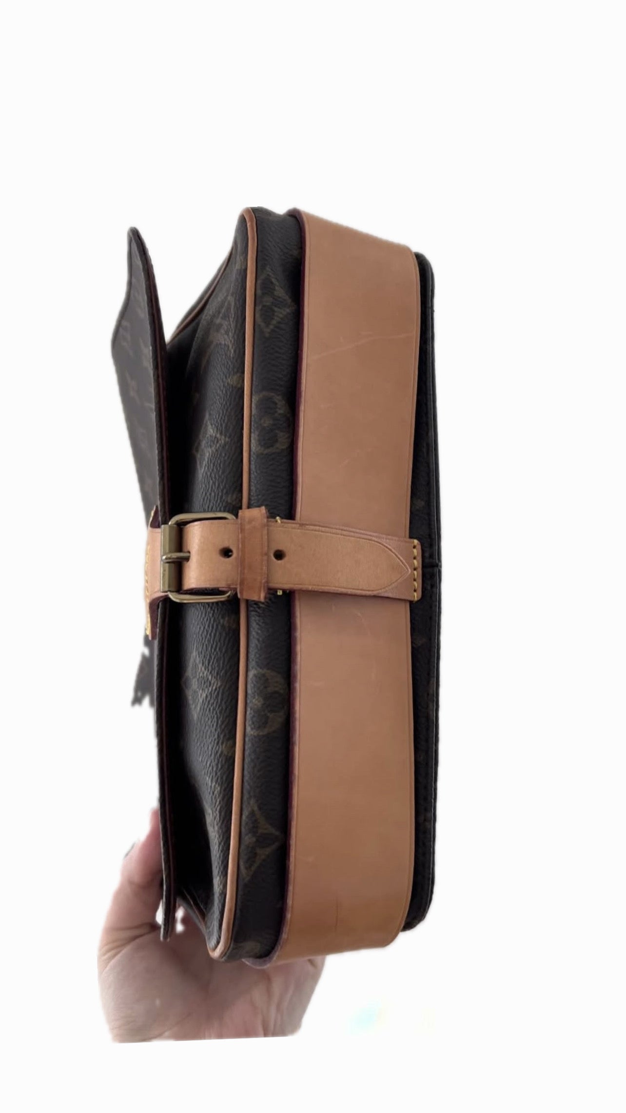 Louis Vuitton Cartouchiere GM
