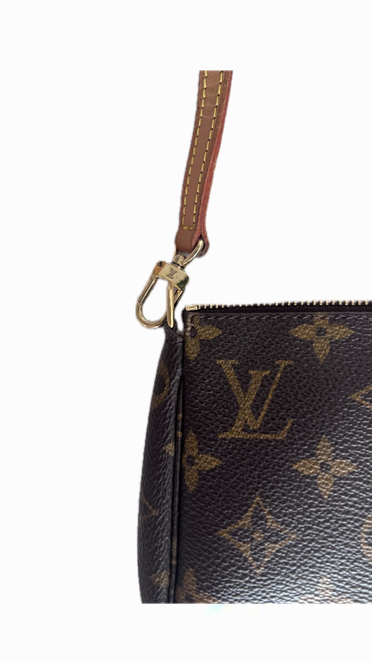 Louis Vuitton Pochette Long Strap