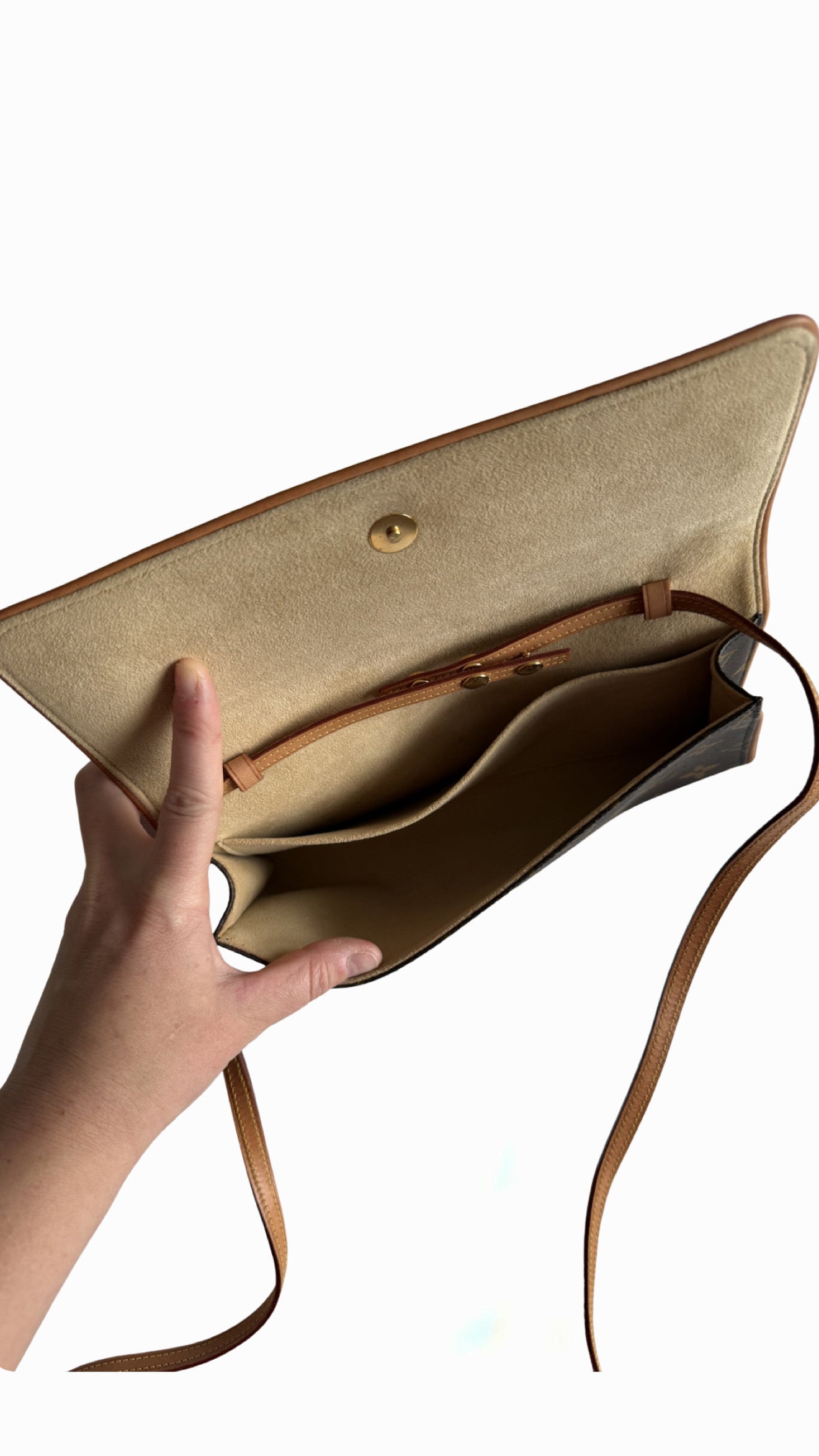 Louis Vuitton Pochette Twin GM
