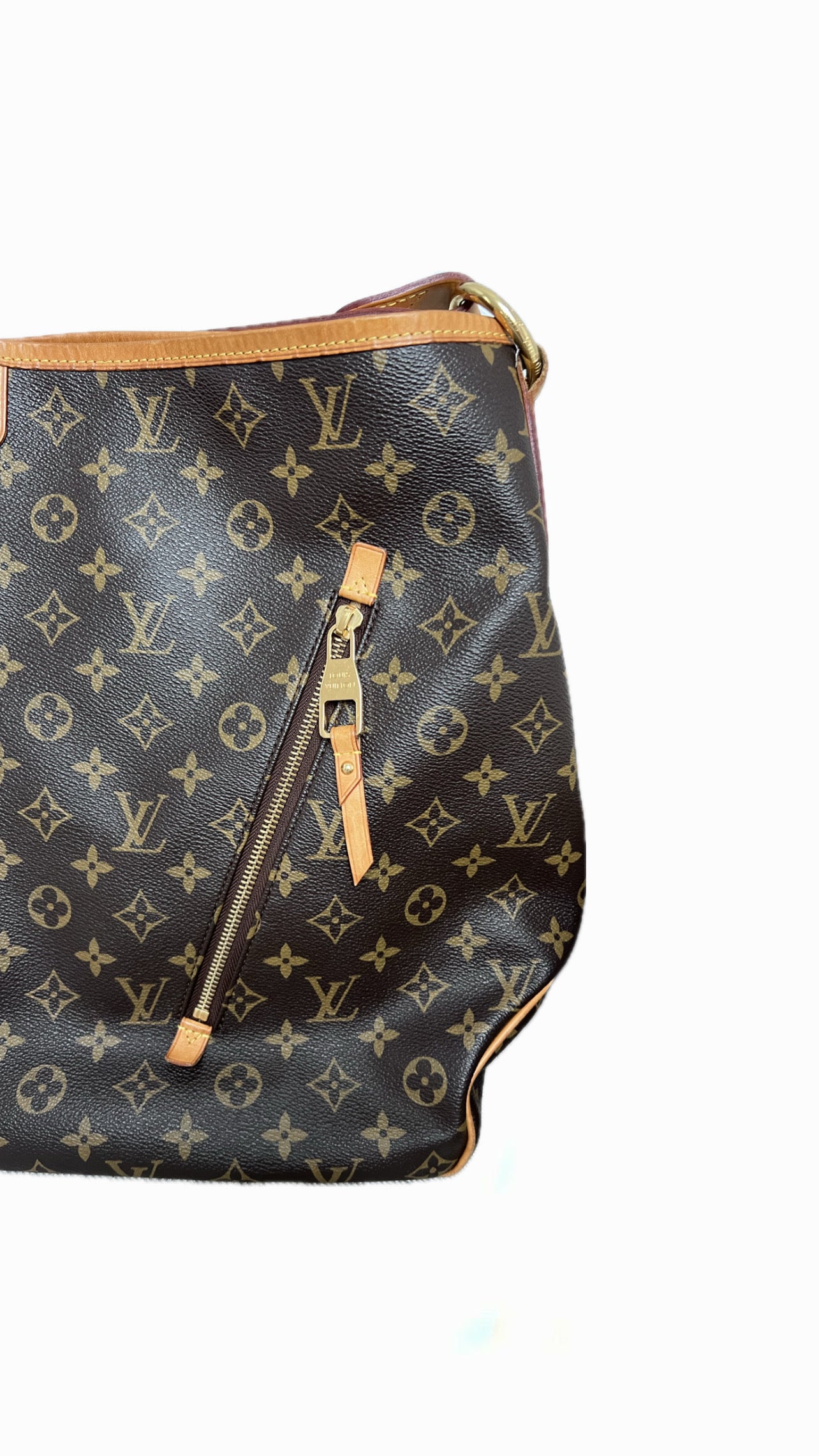 Louis Vuitton Delightful GM