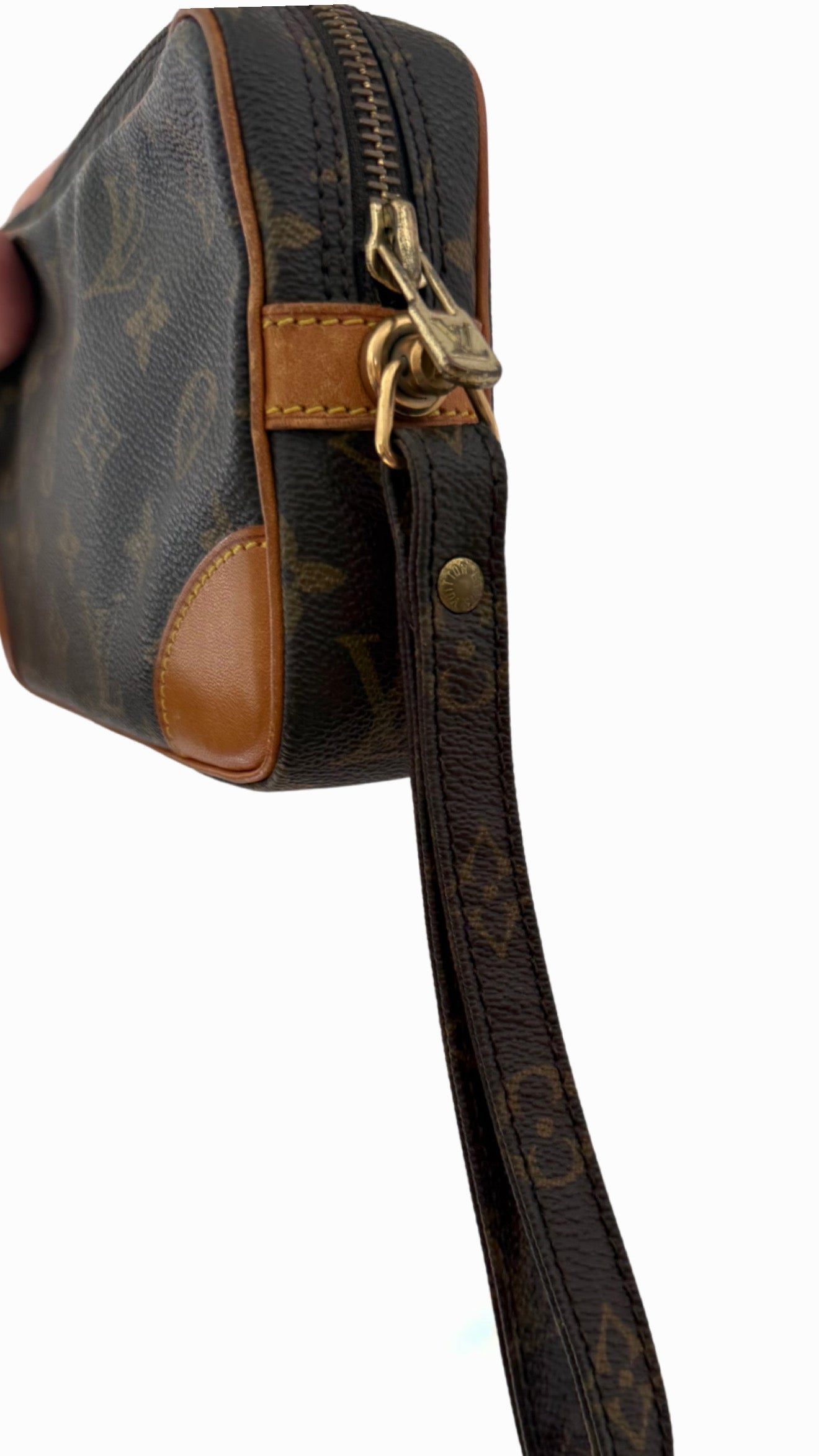 Louis Vuitton Marly Dragonne PM