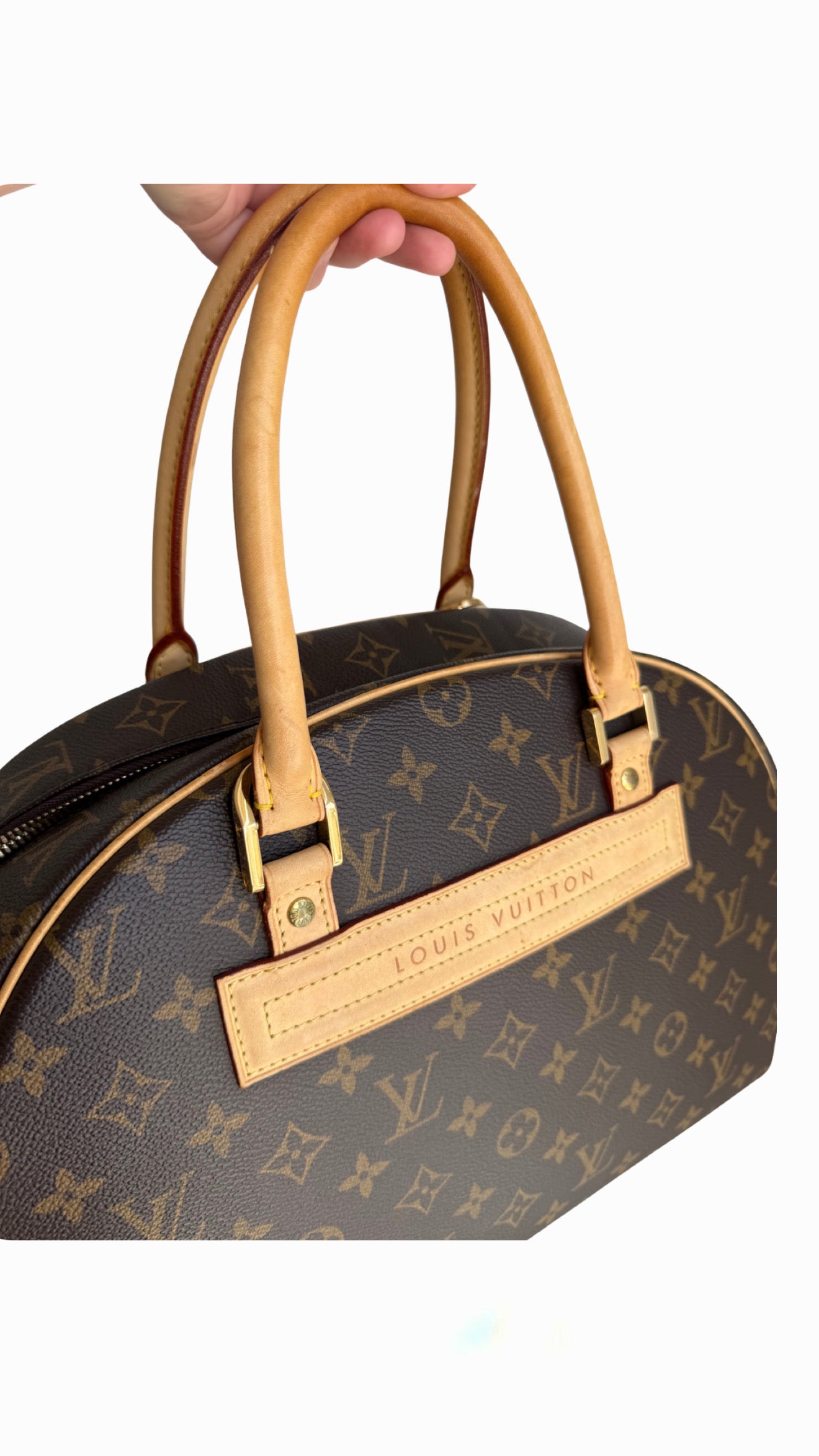 Louis Vuitton Monogram Nolita Bag
