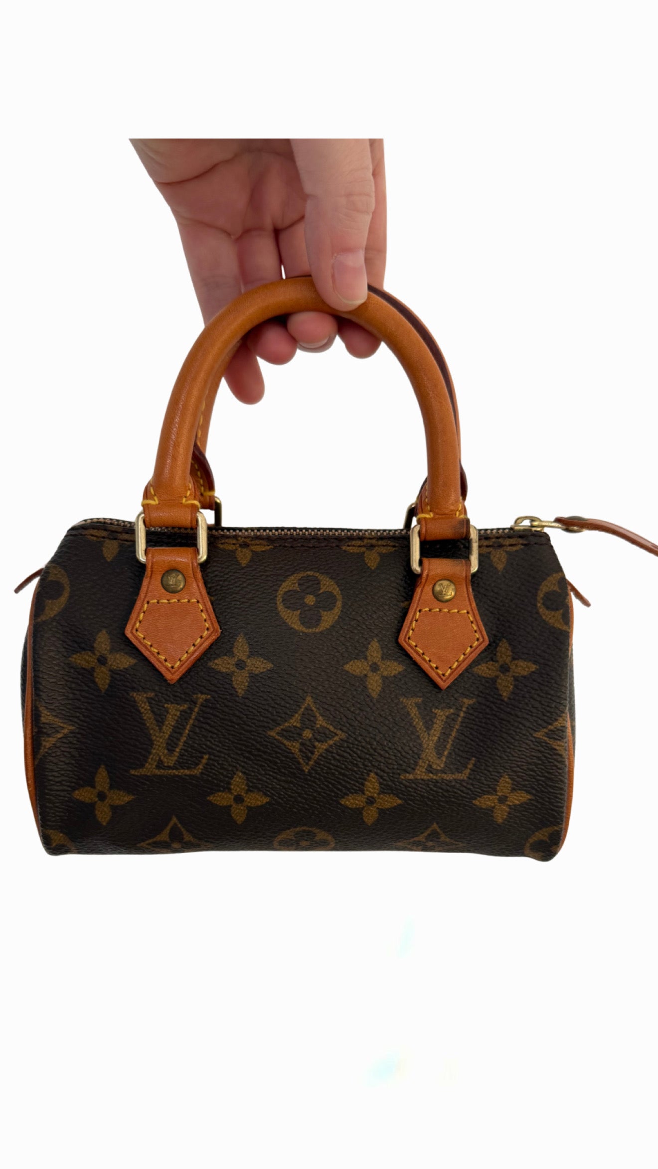 Louis Vuitton Speedy Nano
