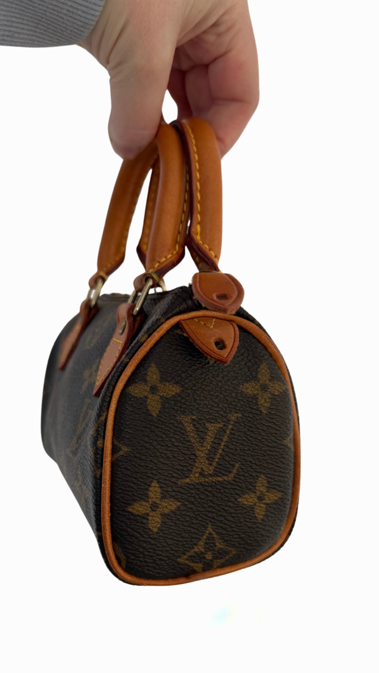 Louis Vuitton Speedy Nano