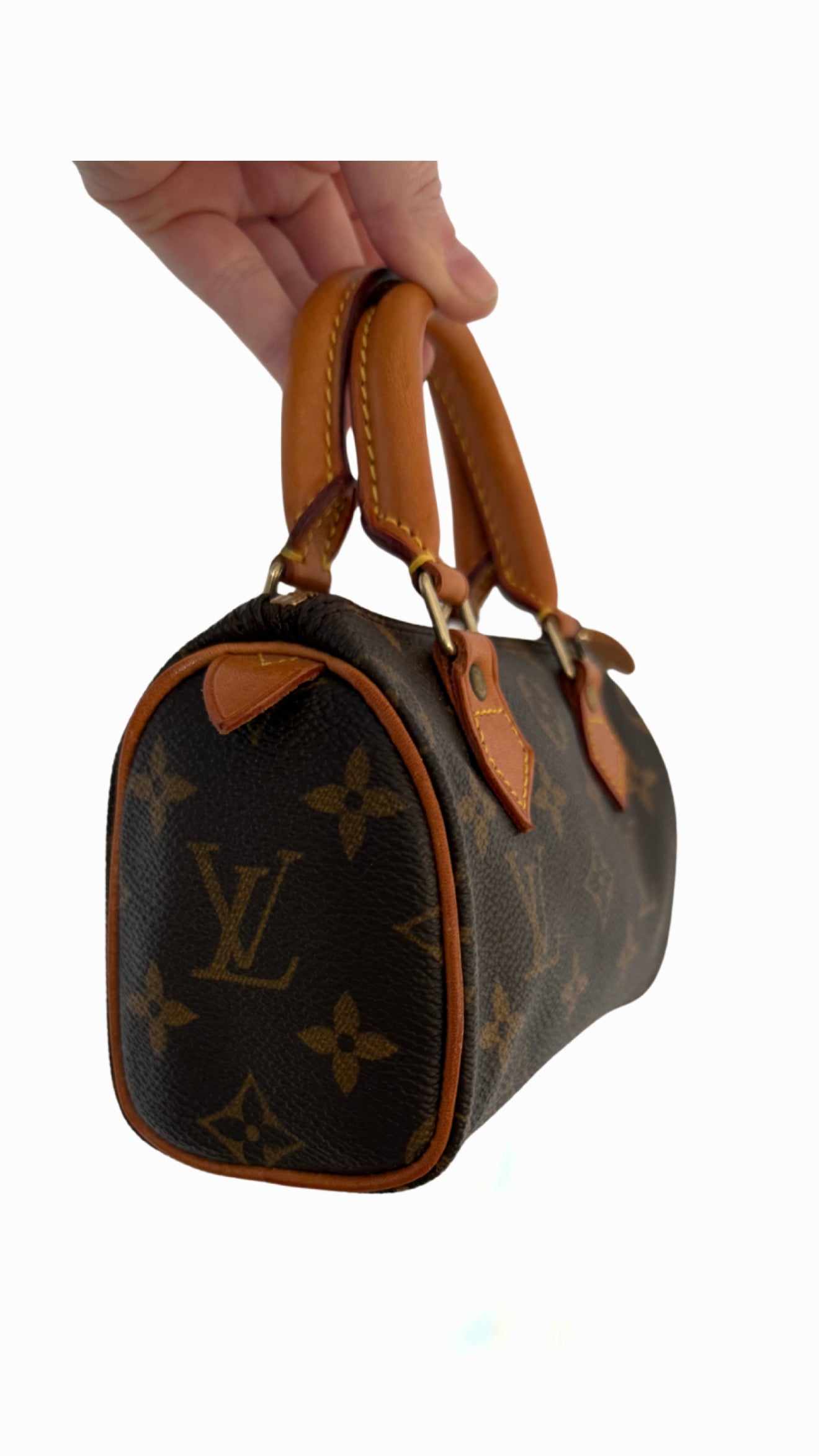 Louis Vuitton Speedy Nano