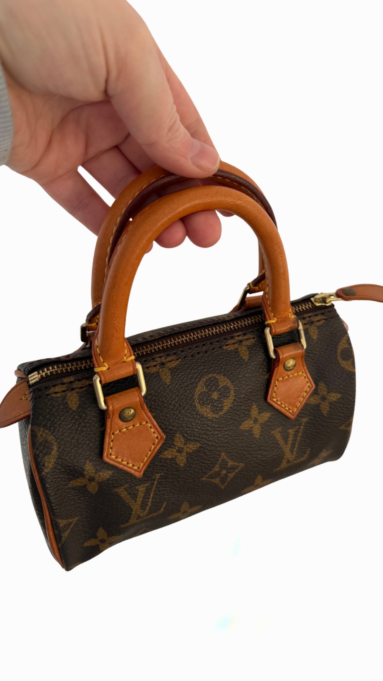 Louis Vuitton Speedy Nano