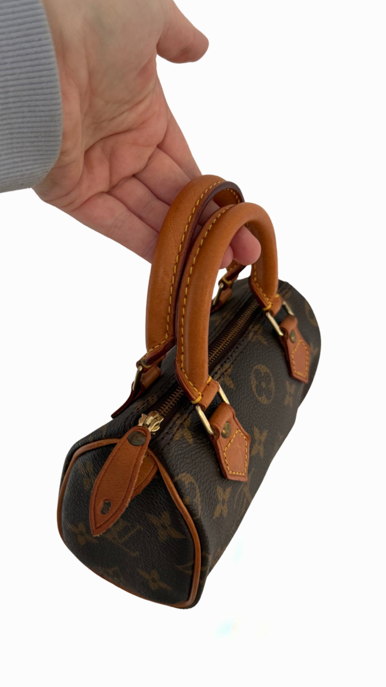 Louis Vuitton Speedy Nano