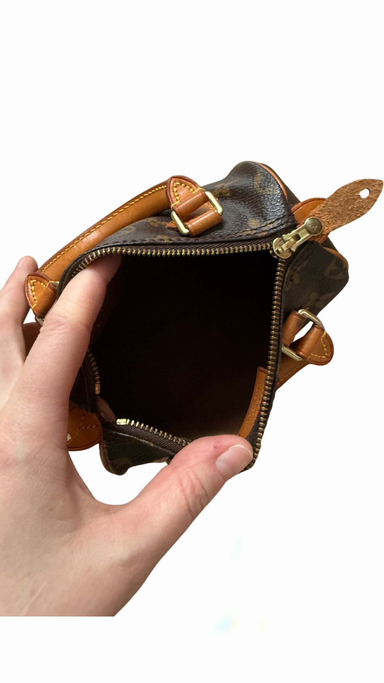 Louis Vuitton Speedy Nano