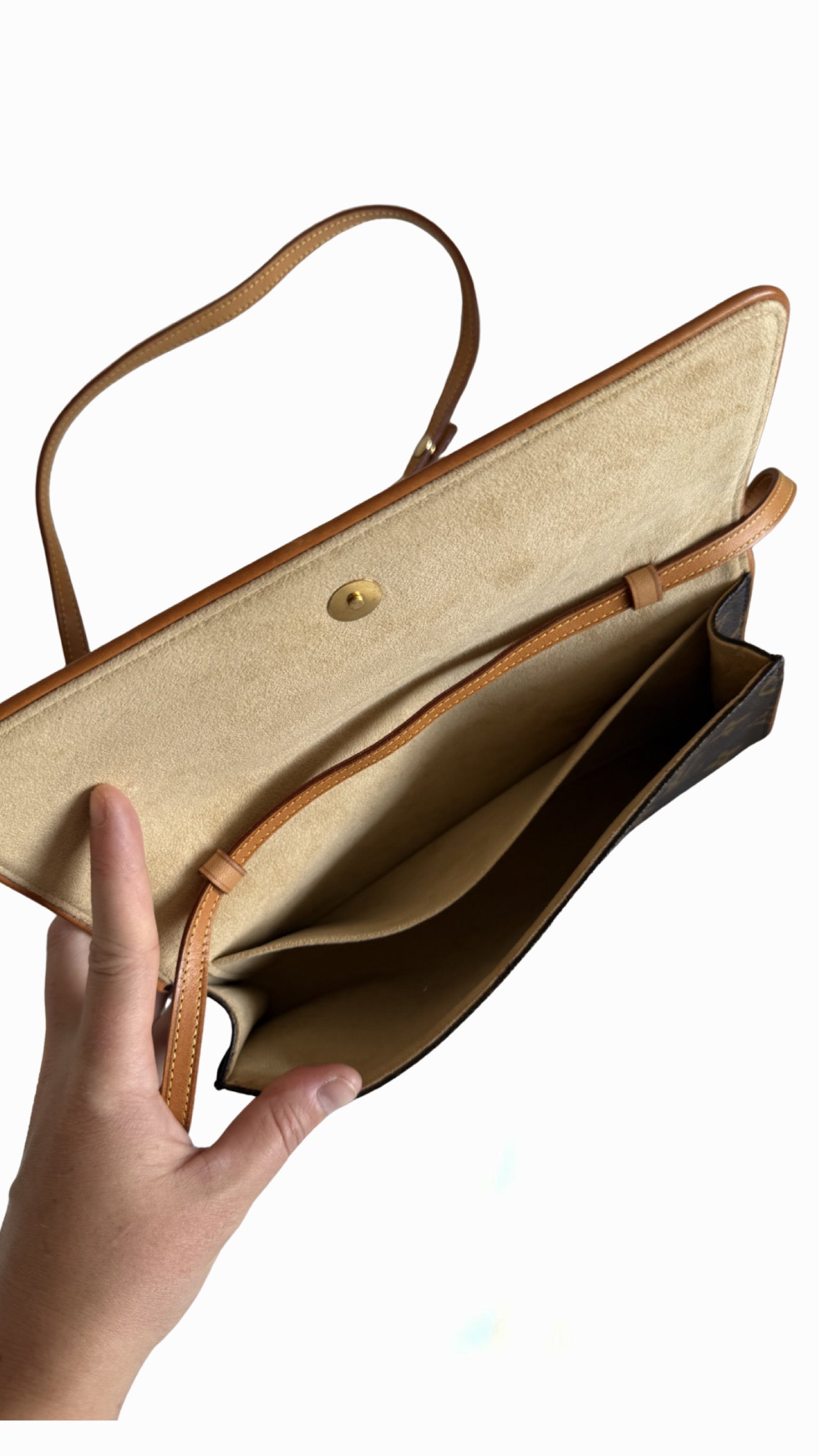 Louis Vuitton Pochette Twin GM