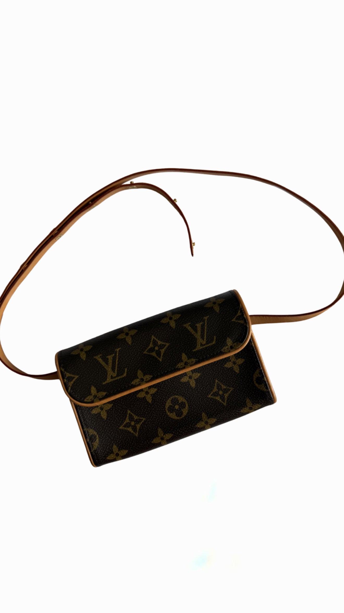 Louis Vuitton Florentine Belt Bag