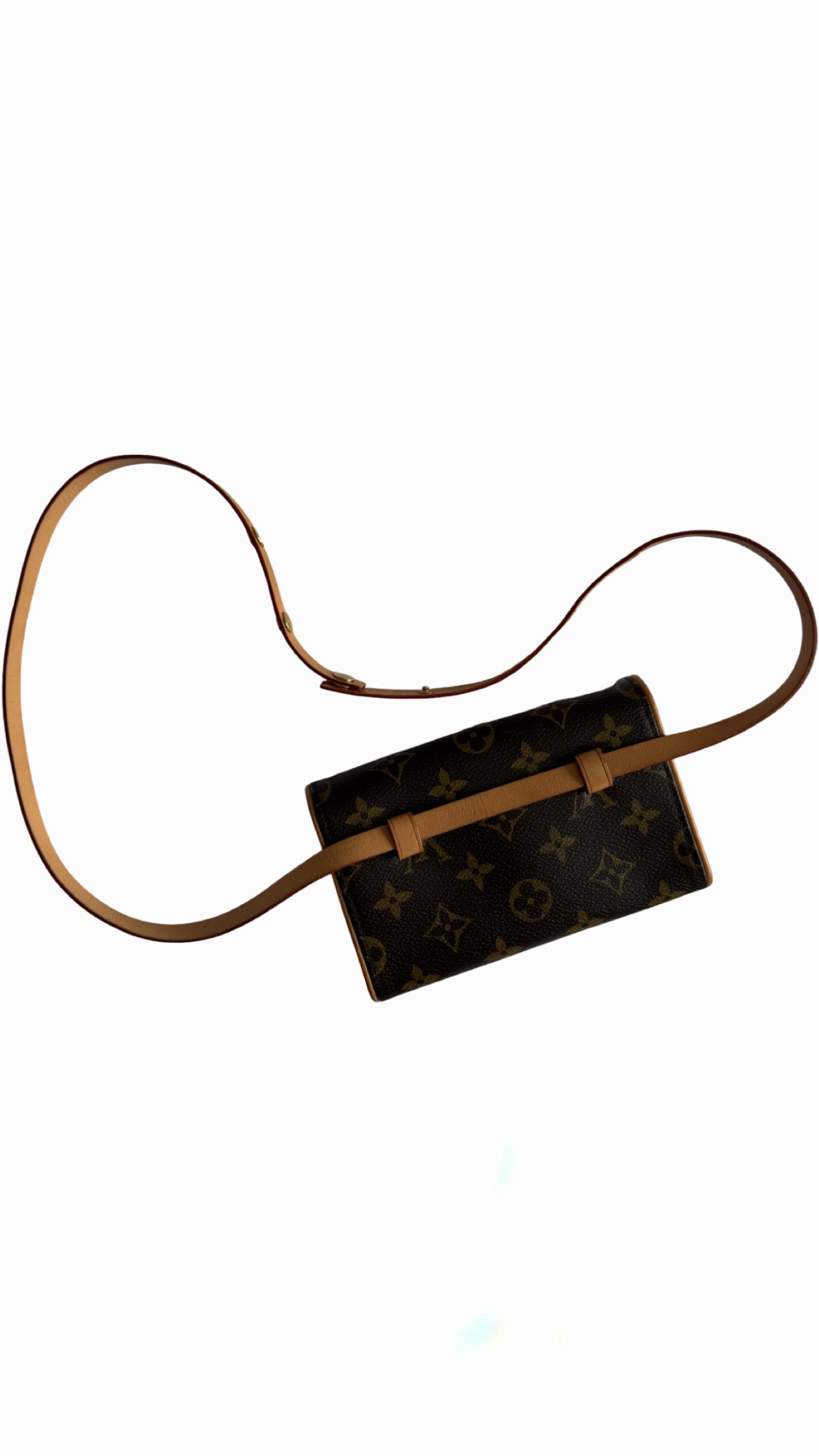 Louis Vuitton Florentine Belt Bag